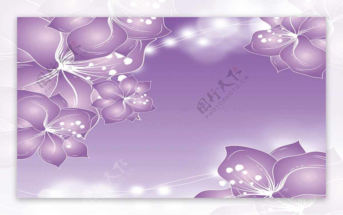 紫色花卉素材