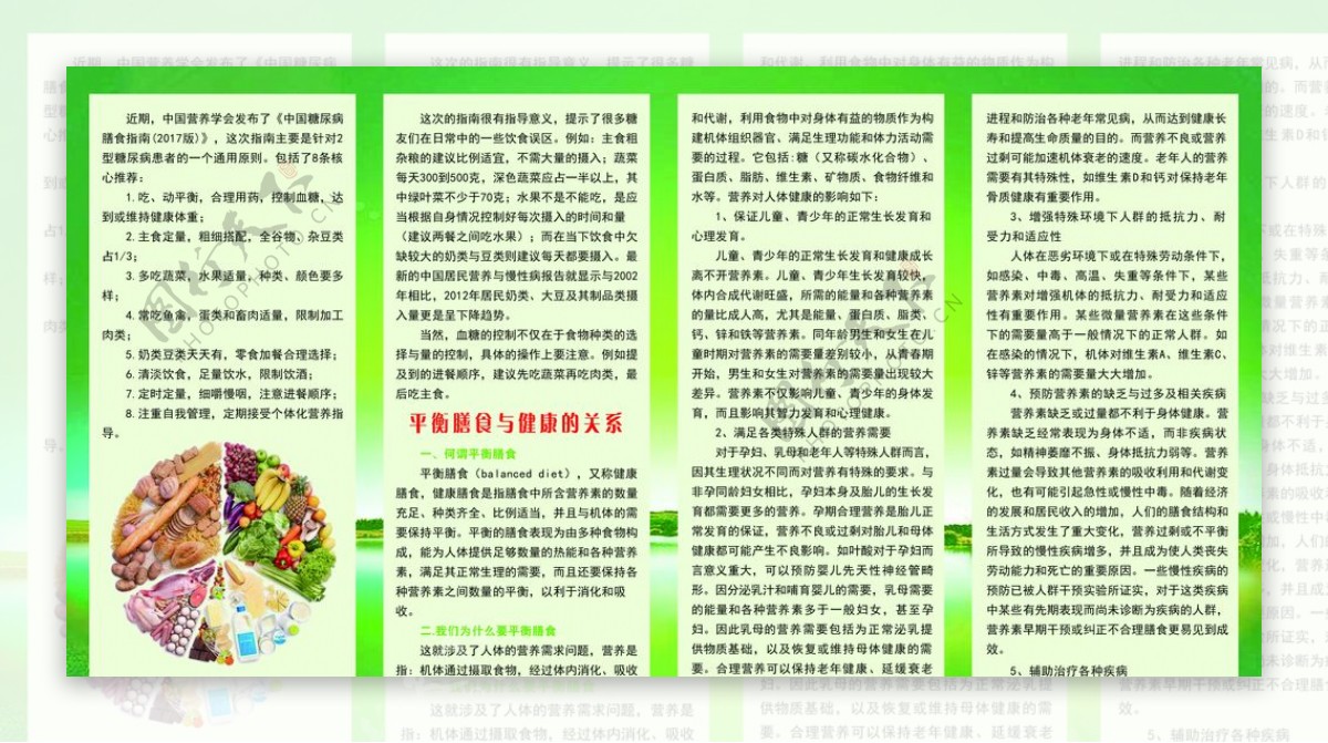 中国糖尿病膳食指南四折页