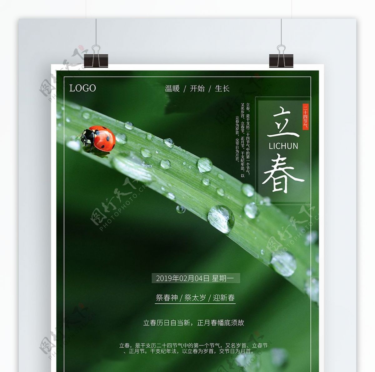绿色简约清新绿叶瓢虫摄影宣传立春海报
