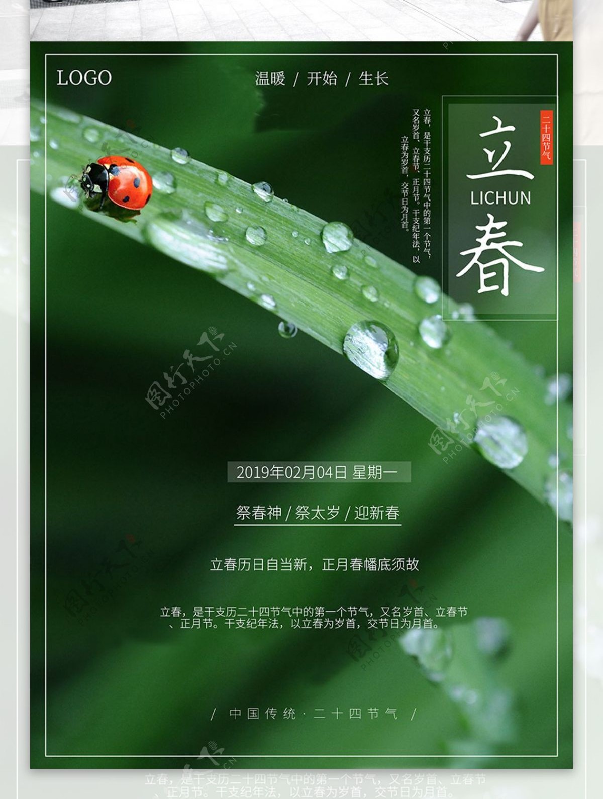 绿色简约清新绿叶瓢虫摄影宣传立春海报