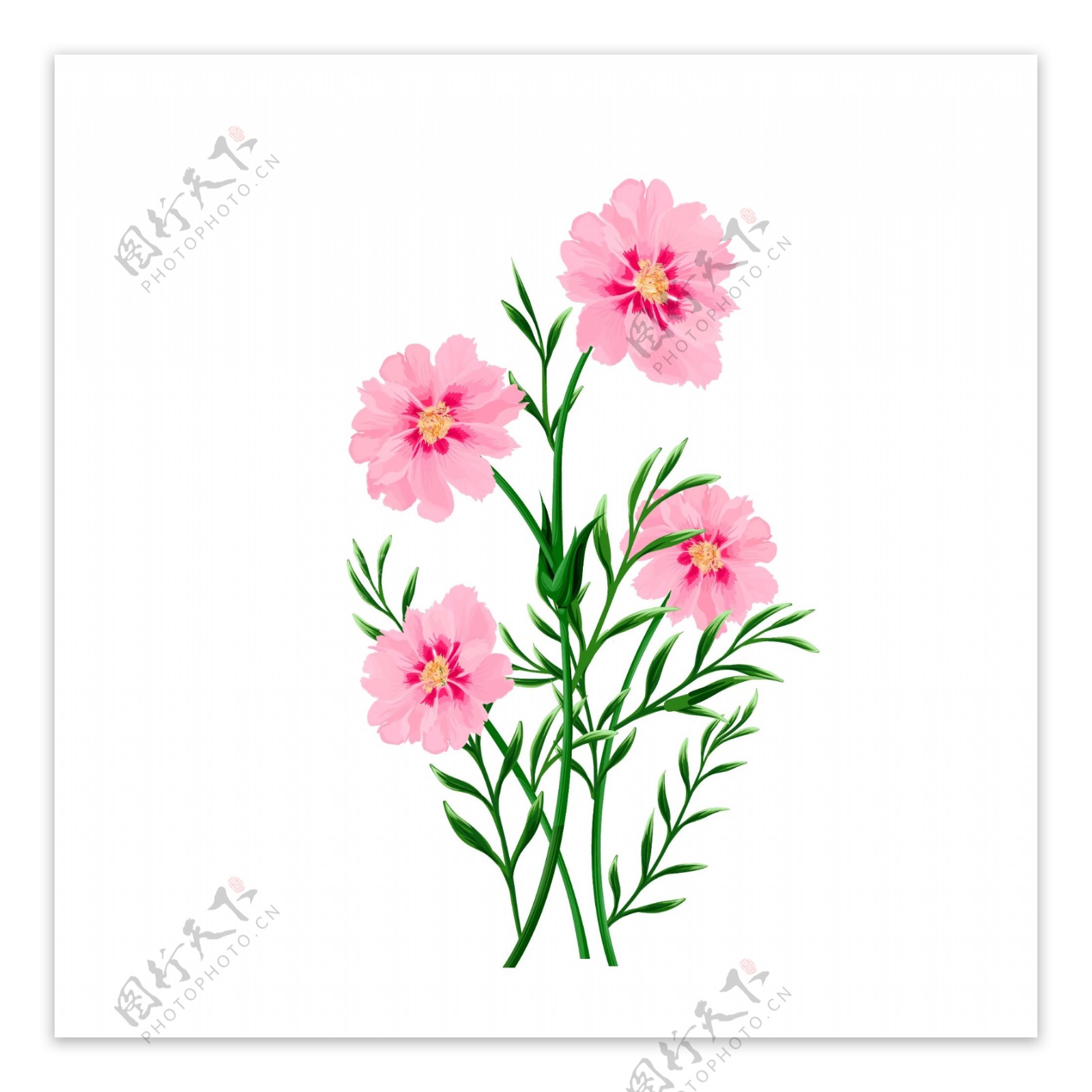 手绘清新粉色植物花卉