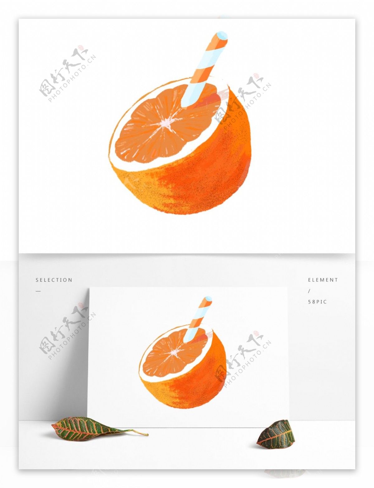 卡通手绘橘子水果设计
