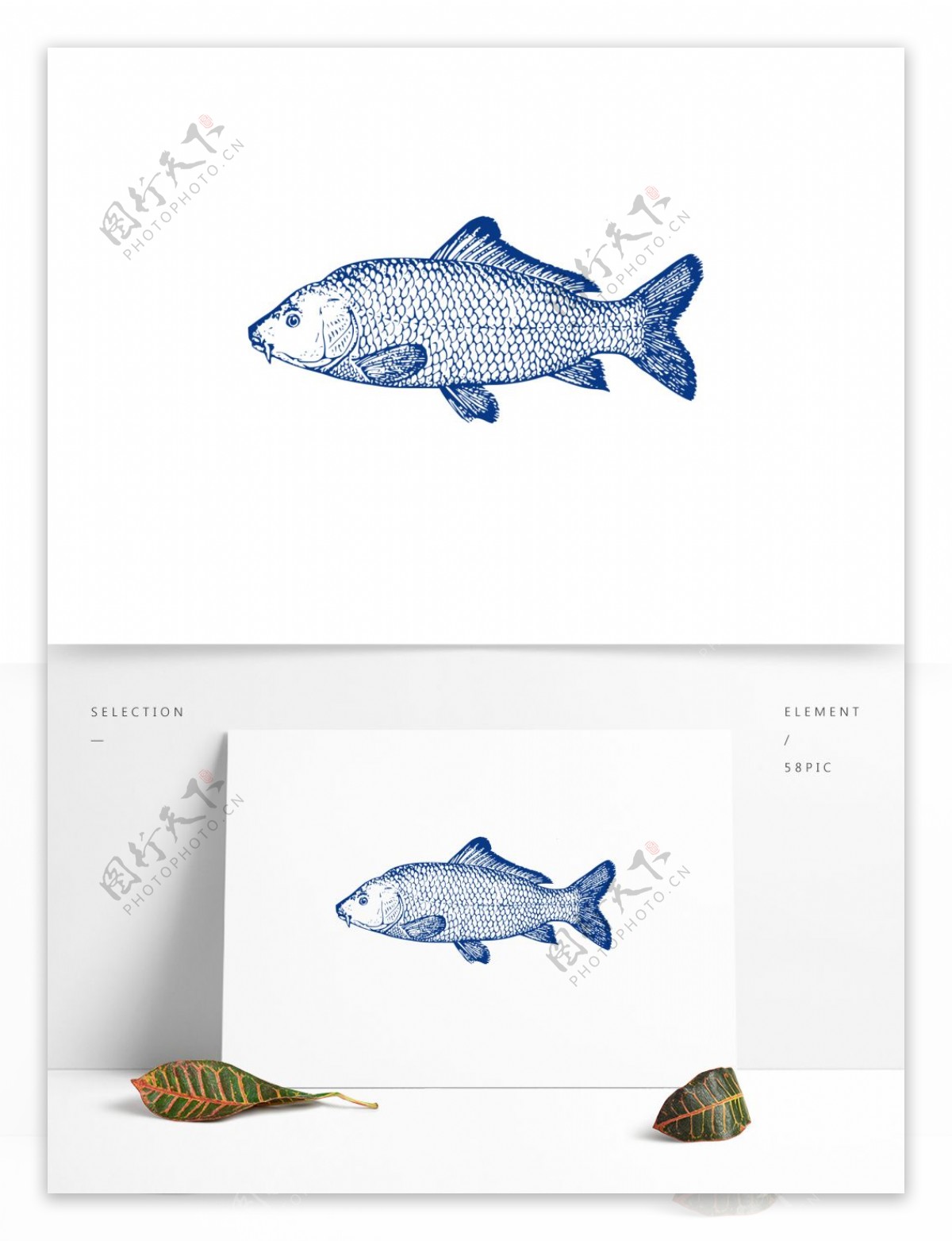 手绘蓝色鱼动物素材