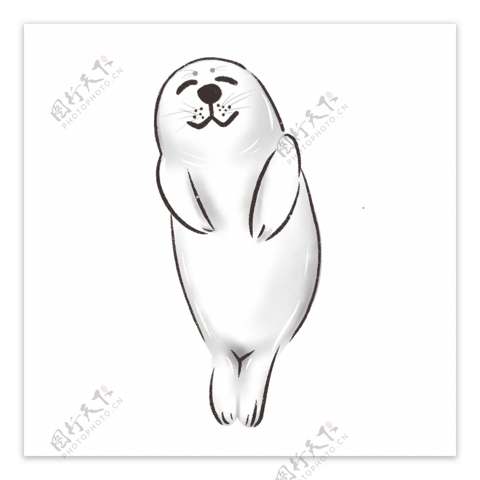 国际海豹节小海豹卡通形象元素手绘