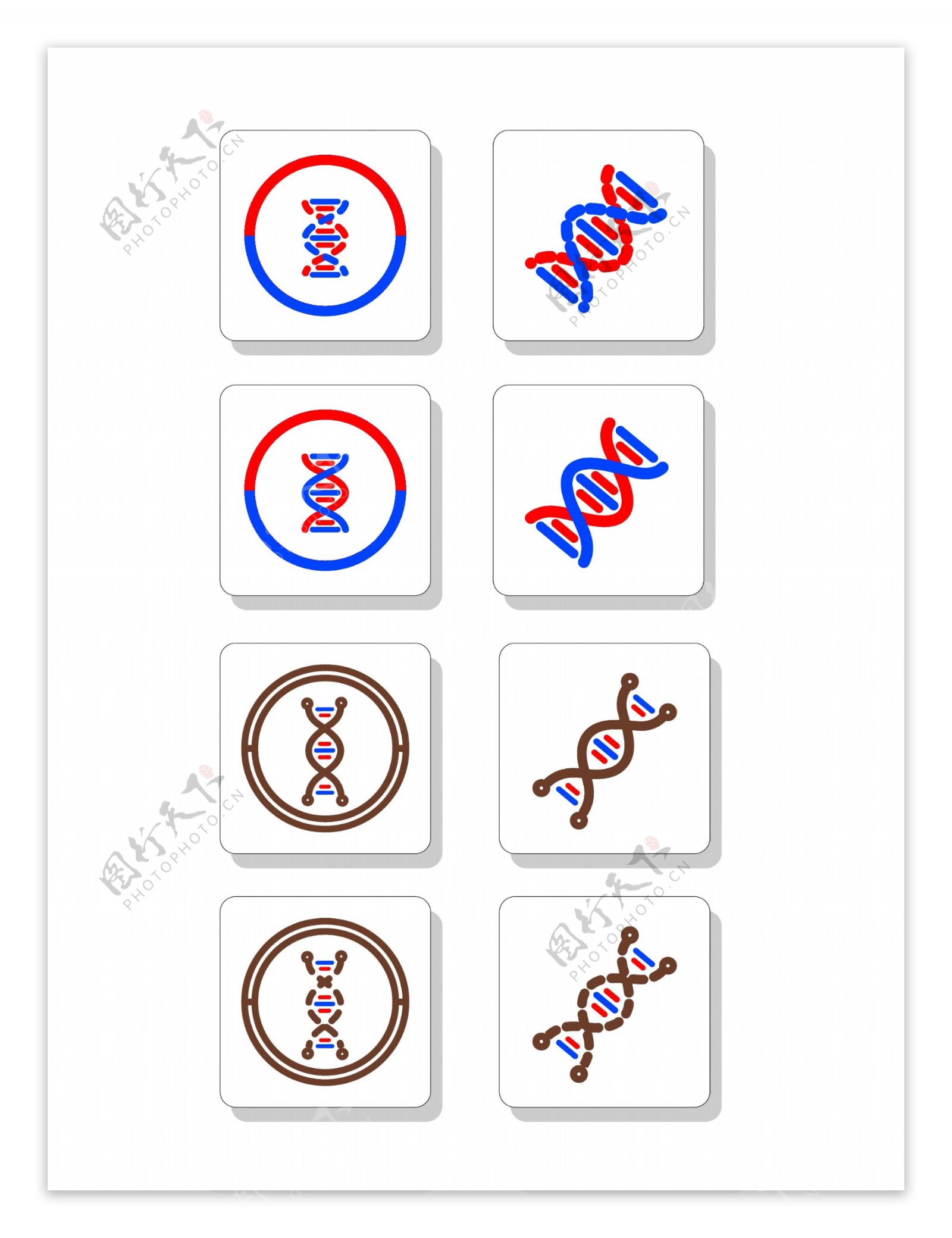 DNA图案