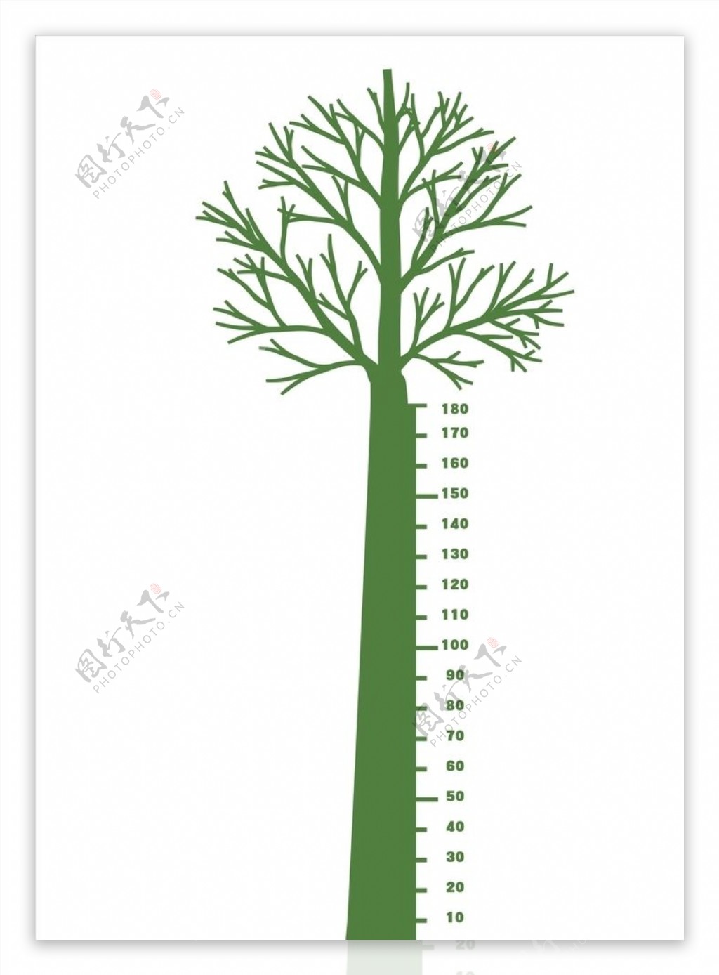 树量身高