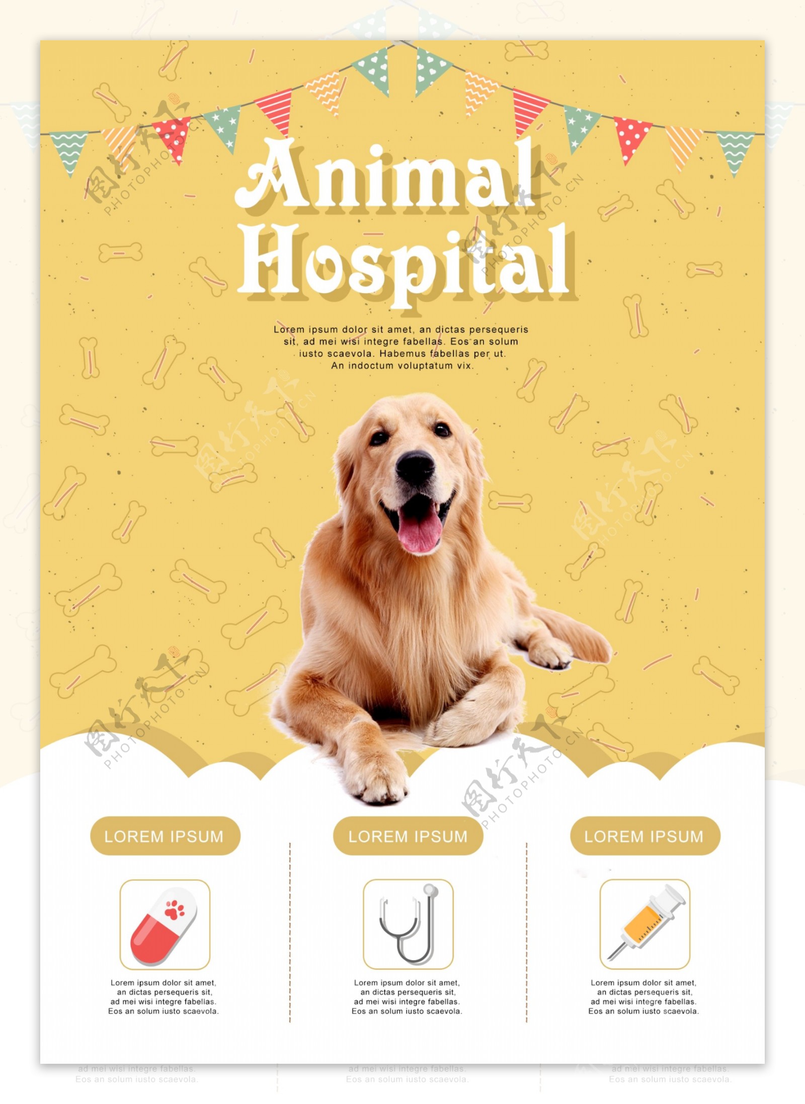 韩国凤凰宠物医院宣传海报