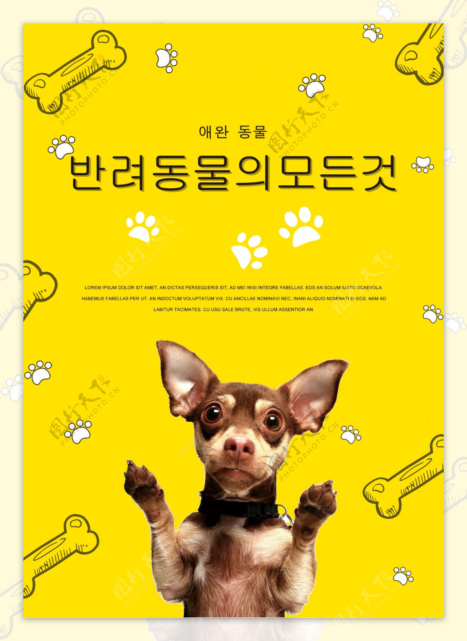 黄色创意宠物店海报