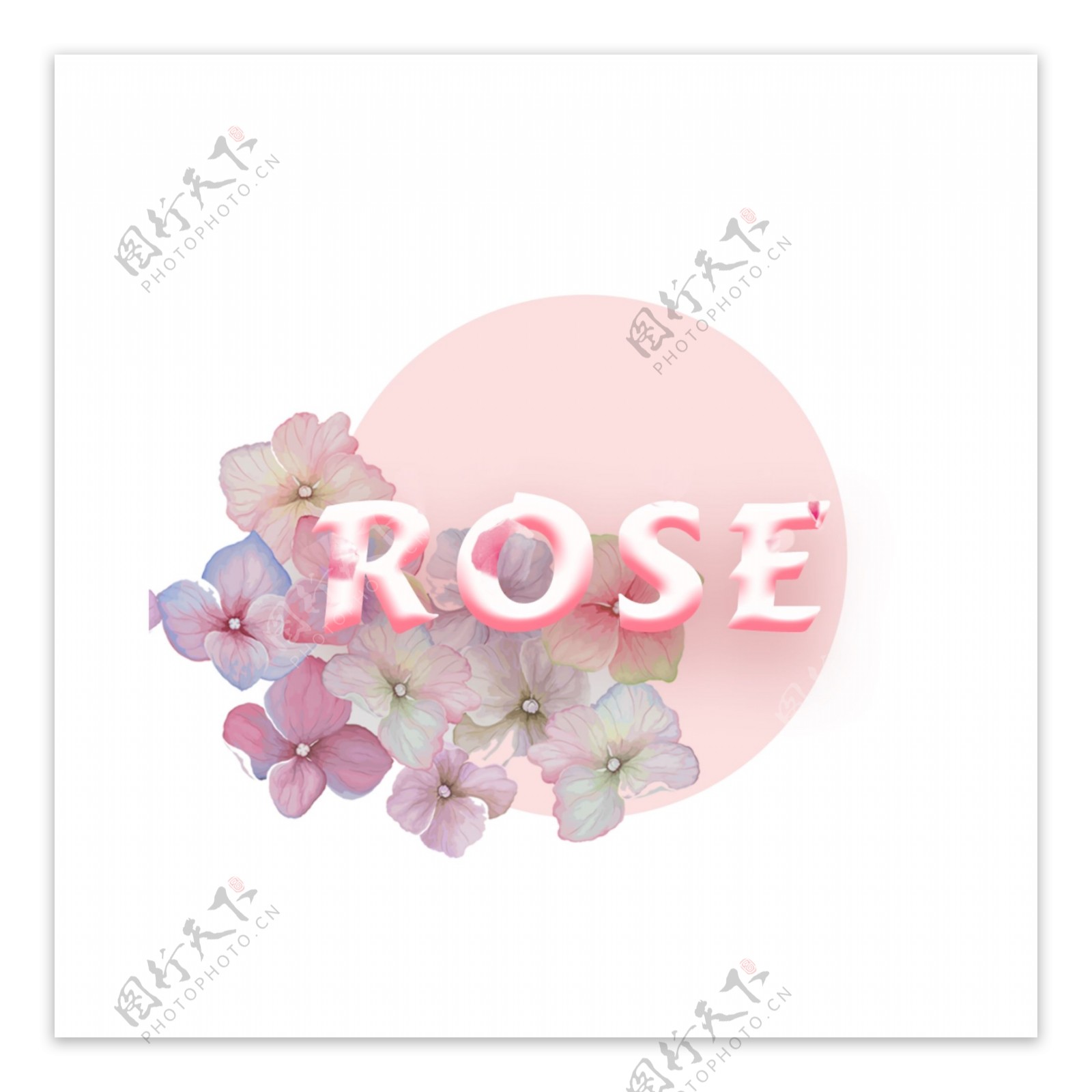 美丽的花和粉红色圆圈图案与玫瑰字体