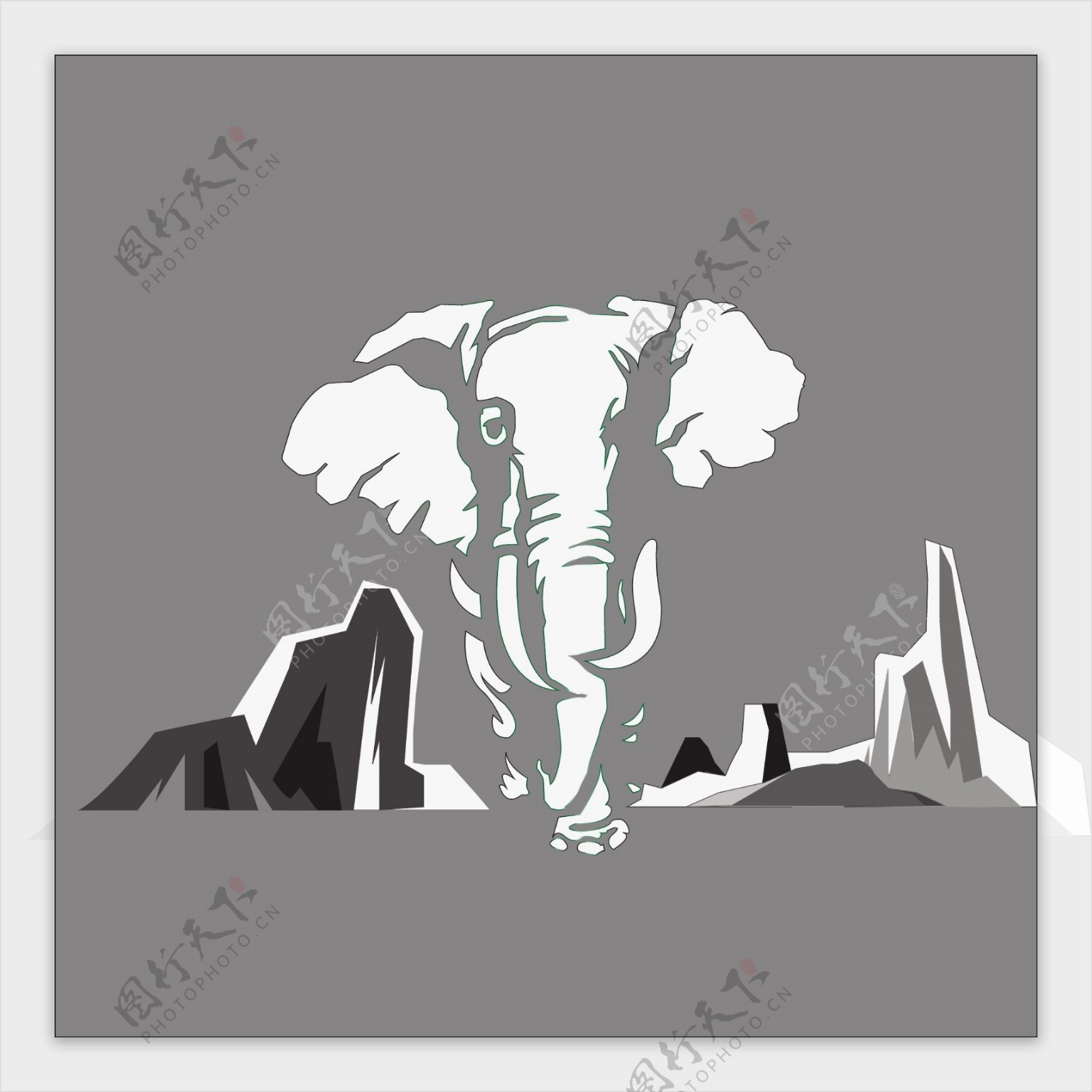黑色和白色影子大象走路