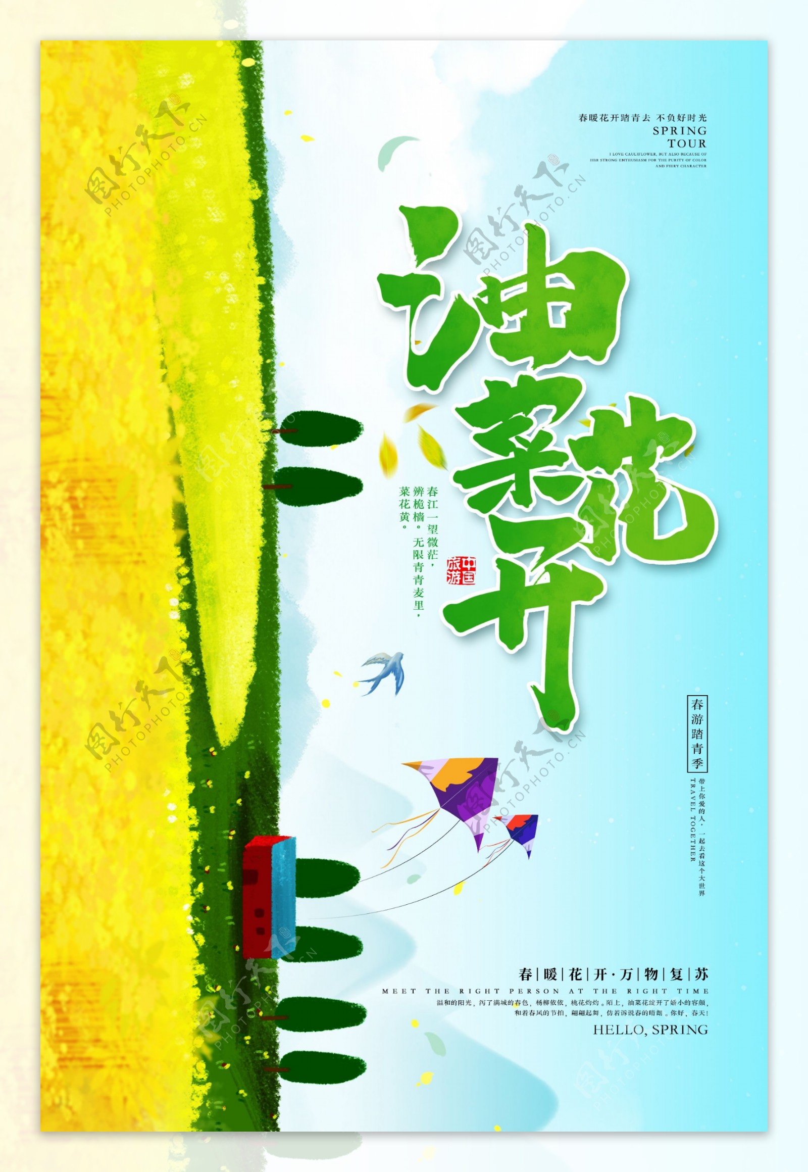 油菜花开