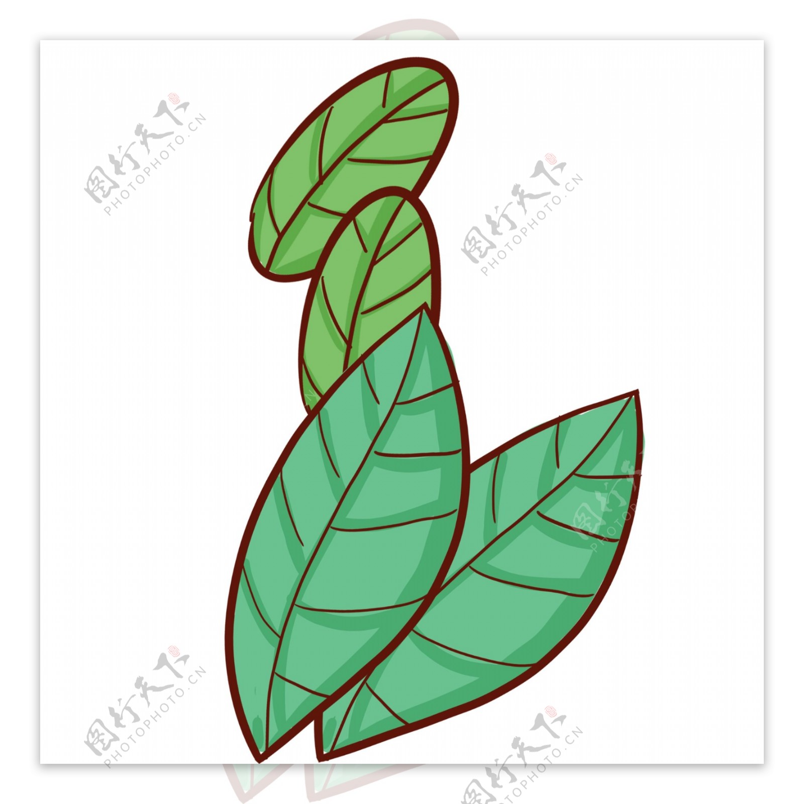 简约植物树叶图案设计