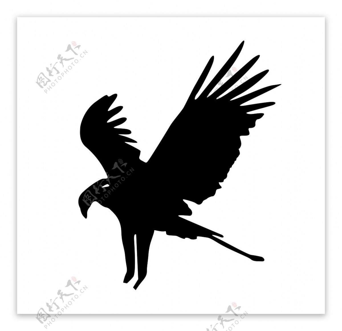 矢量老鹰鸟类剪影黑色图案标志