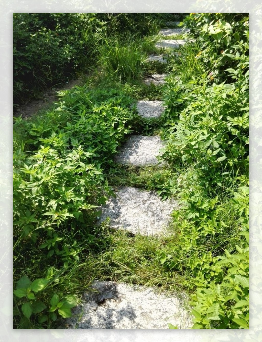 花园石头路