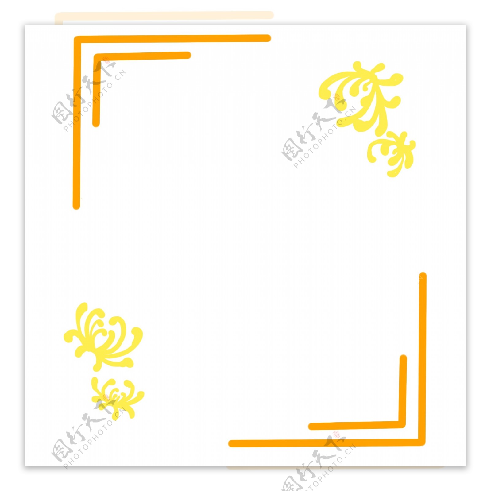重阳节菊花装饰边框插画