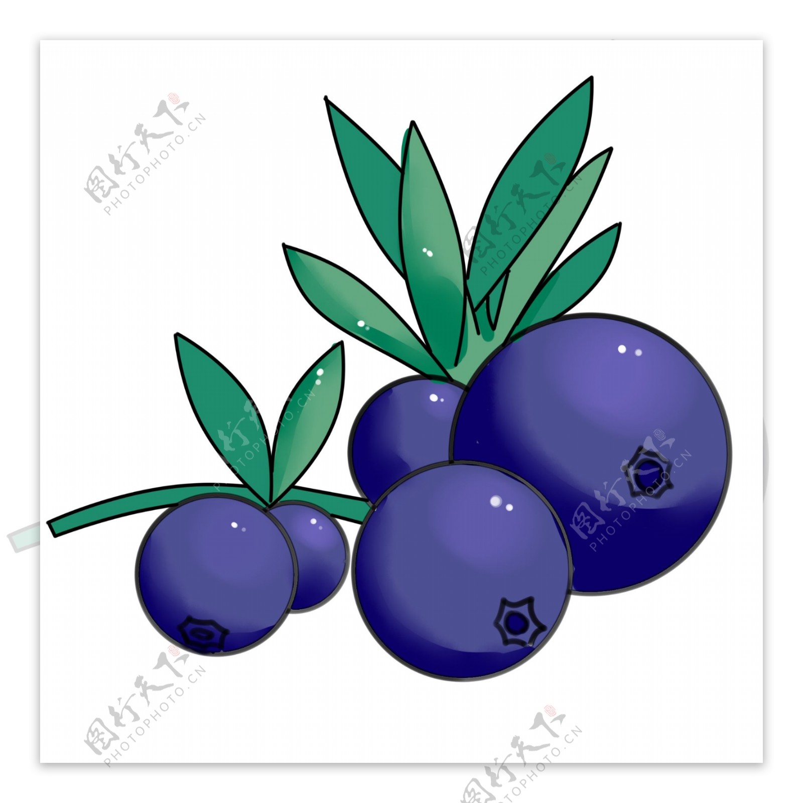一串新鲜采摘的蓝莓
