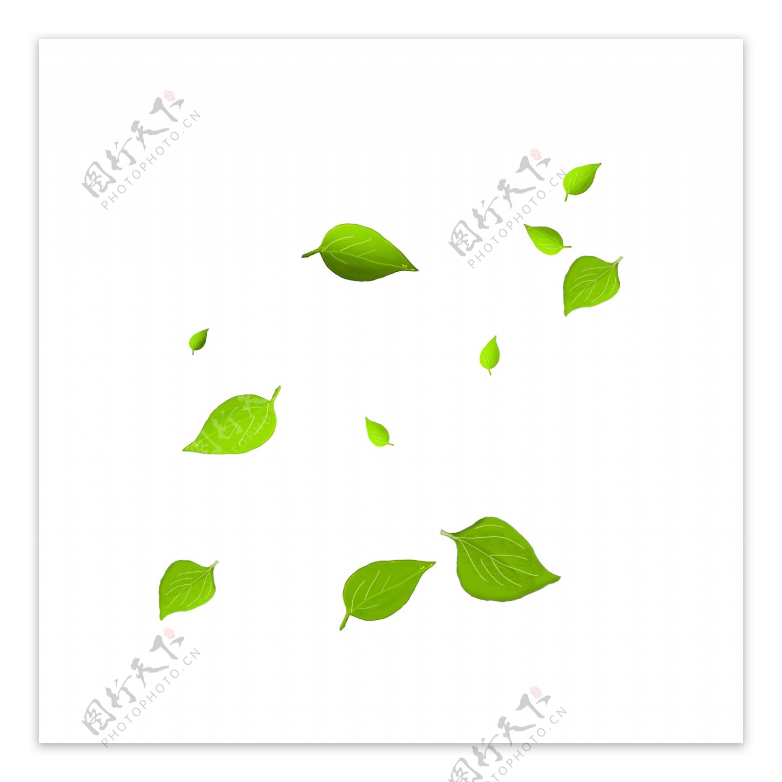 飘落的绿色树叶插画