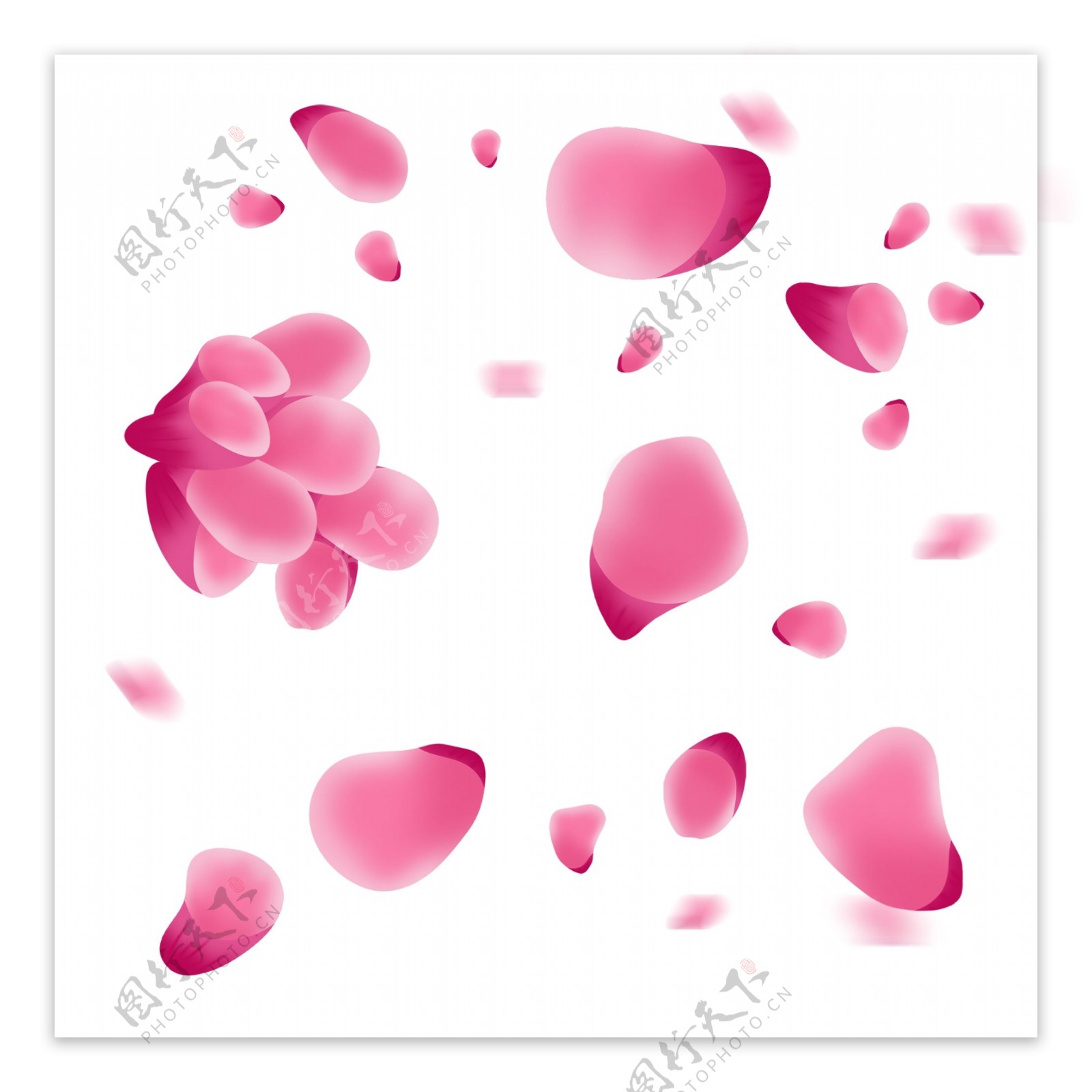 手绘粉色漂浮的花瓣