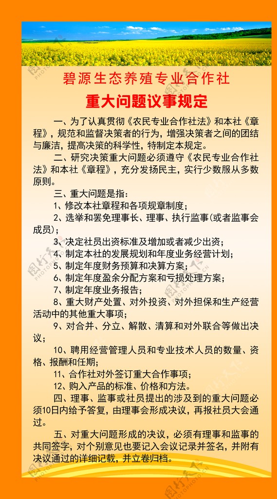 重大问题议事规定