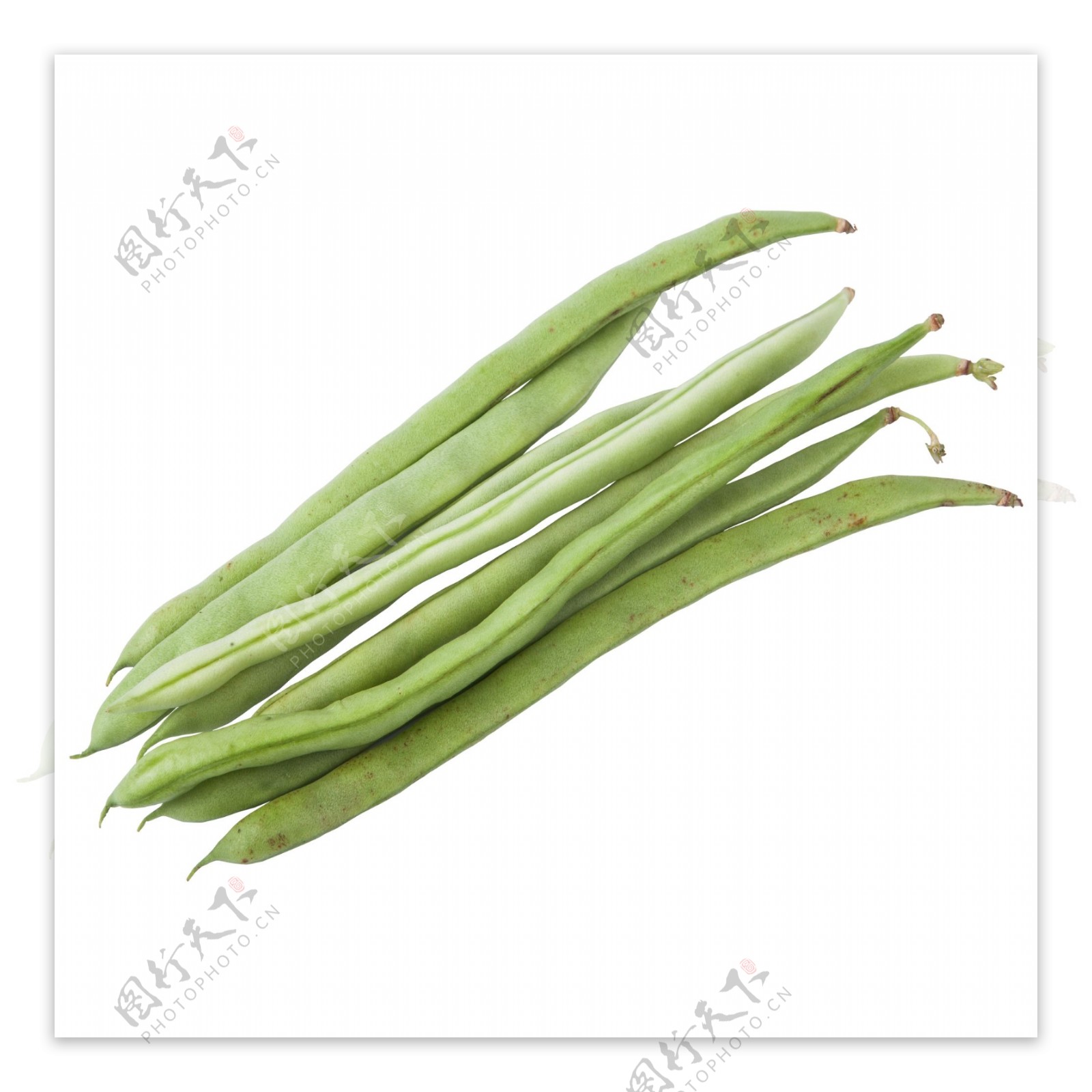 绿色植物芸豆食物元素