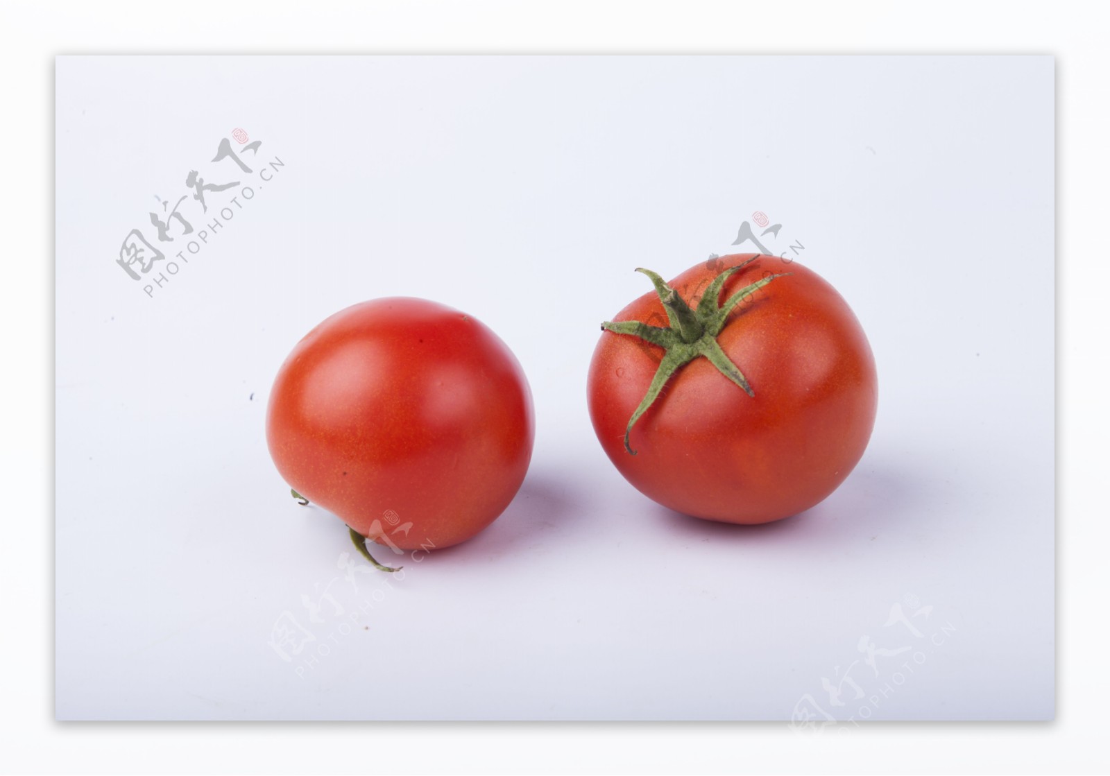 常见瓜果蔬菜之西红柿