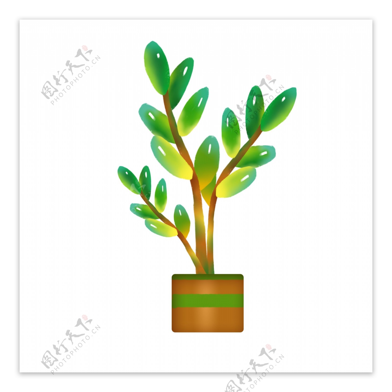 装饰绿色植物插画