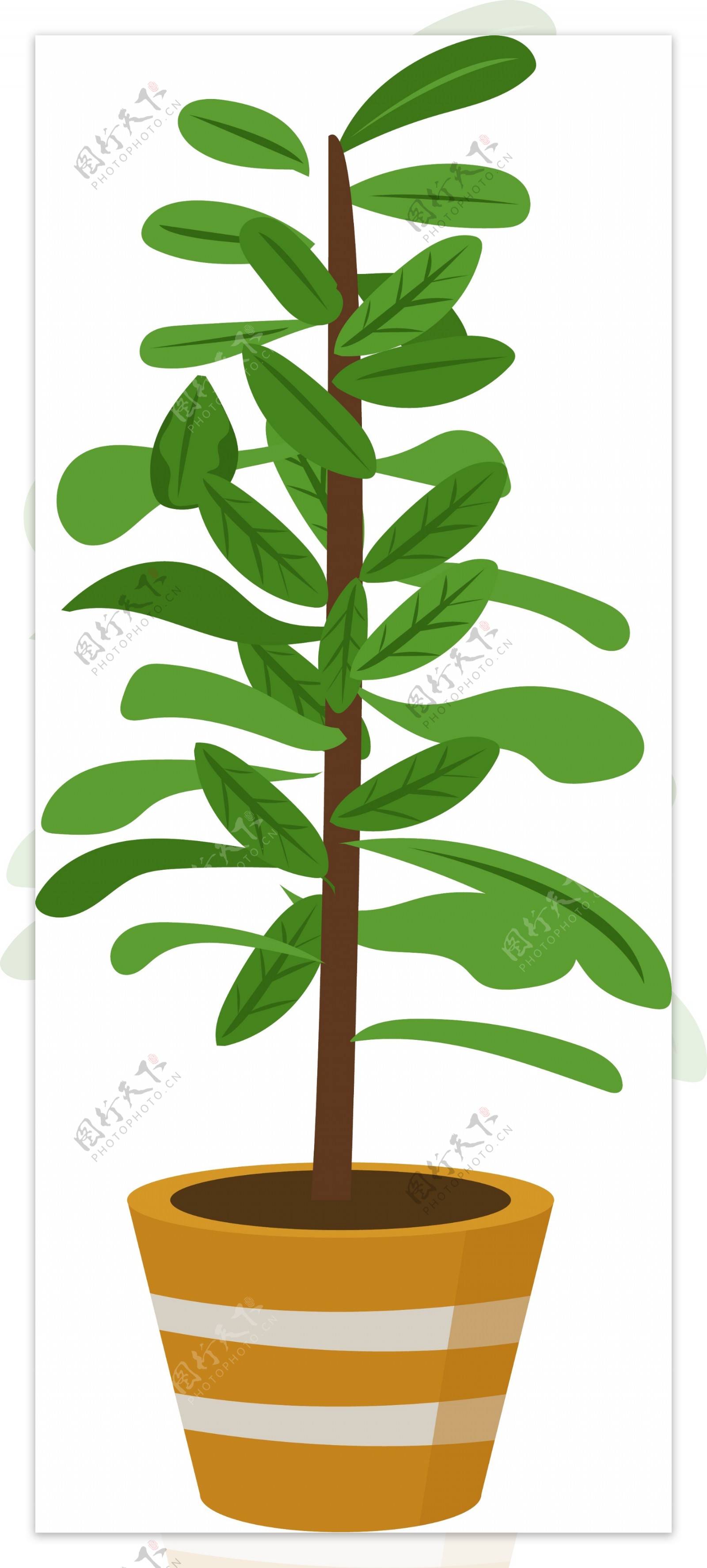 立体绿色植物插图