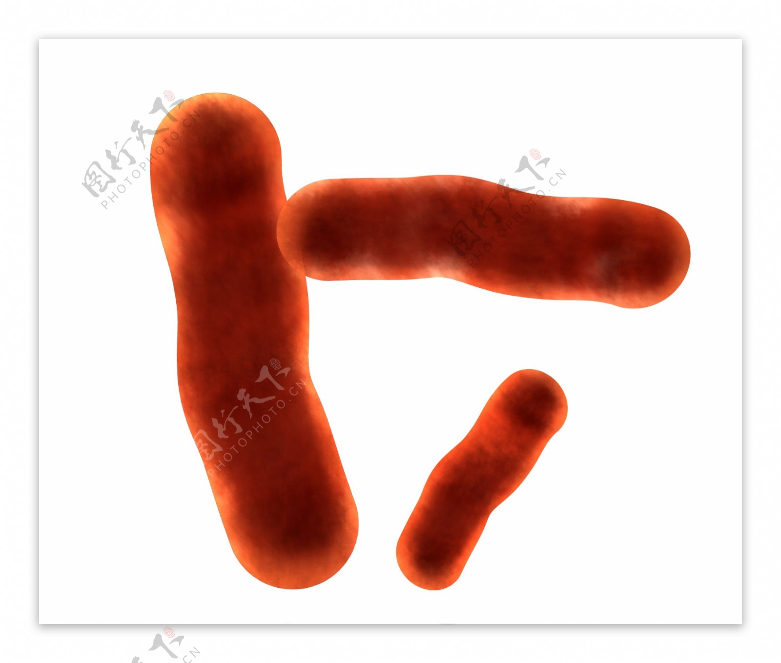 实验室细菌装饰插画