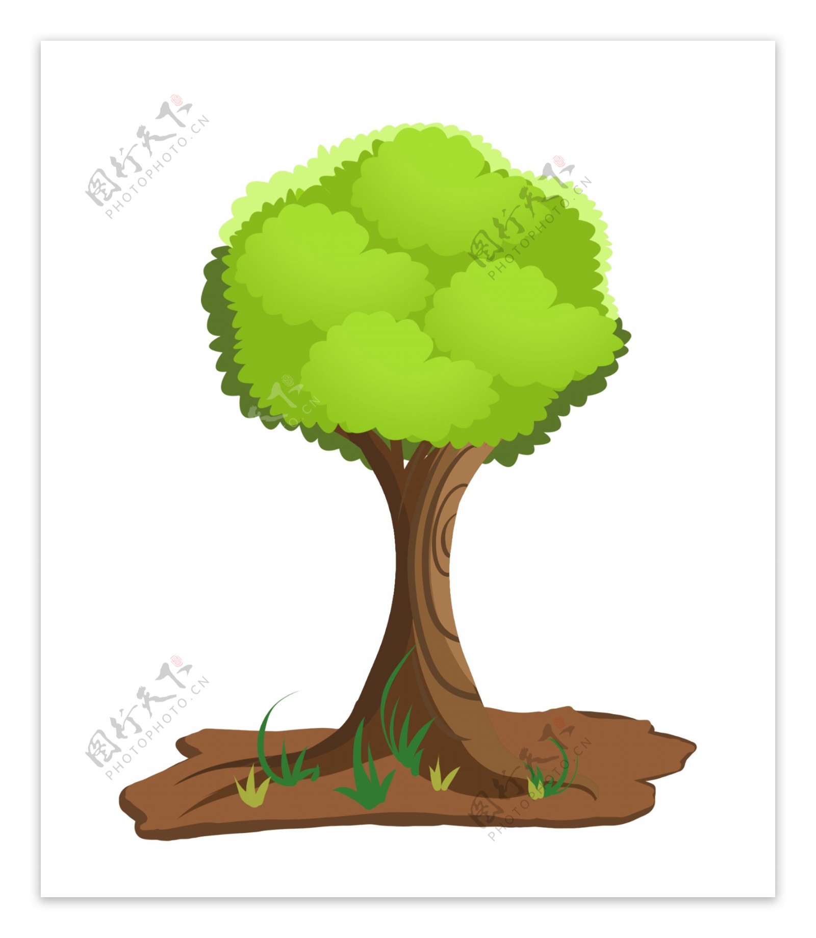 一棵绿色的大树插画
