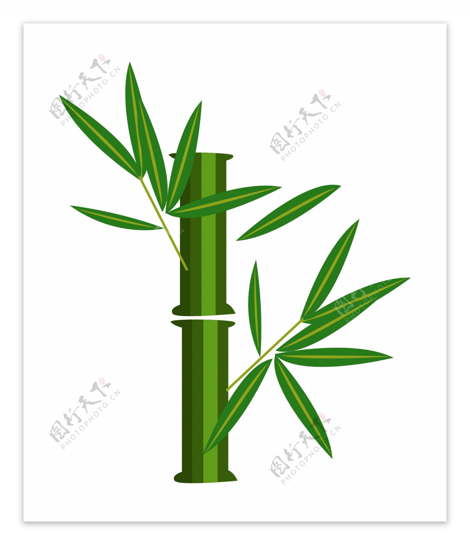 笔直的绿色竹子插画
