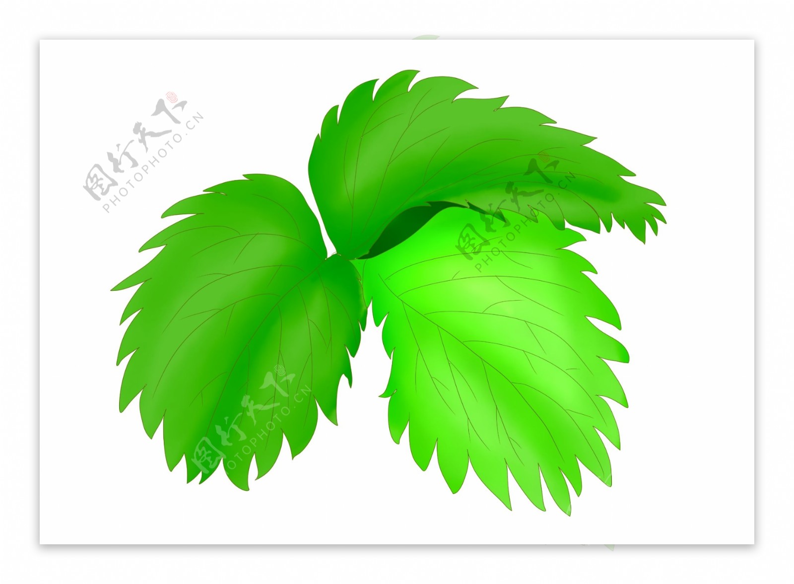 树叶动图片-树叶动素材图片-树叶动素材图片免费下载-千库网png