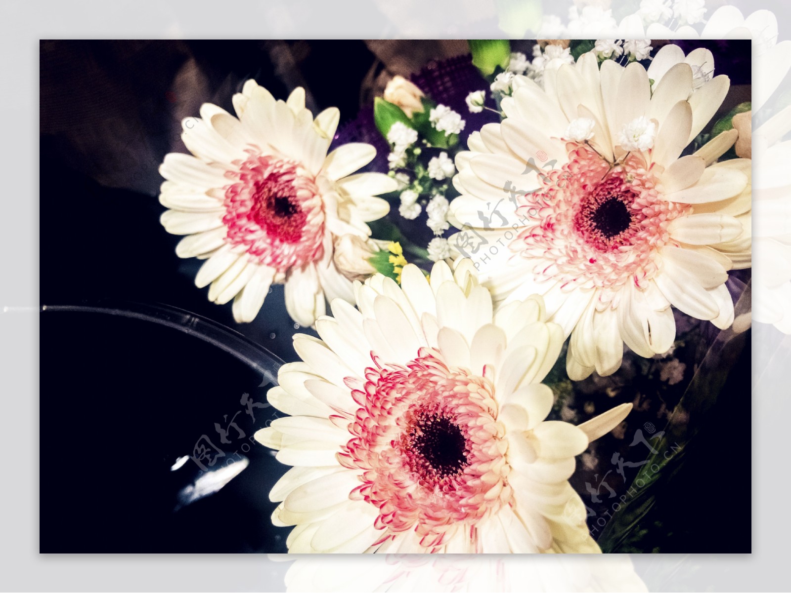 粉色白色菊花鲜花花束