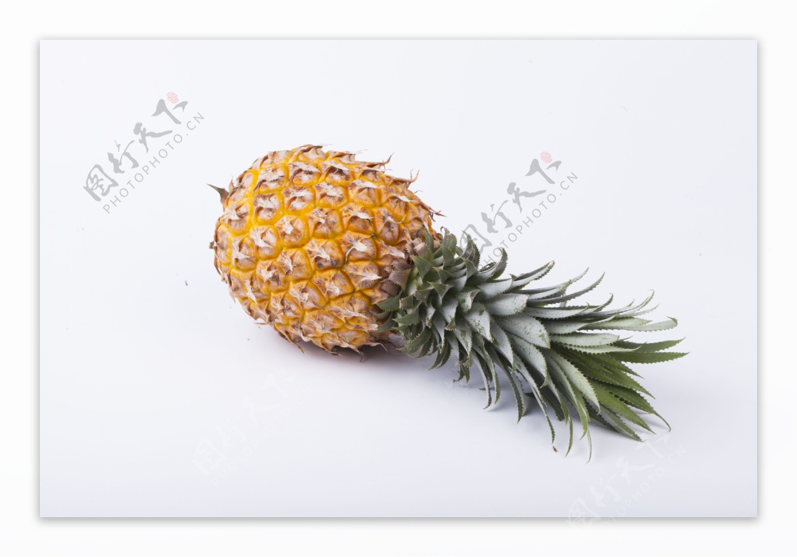 实物图摄影图新鲜水果凤梨菠萝2