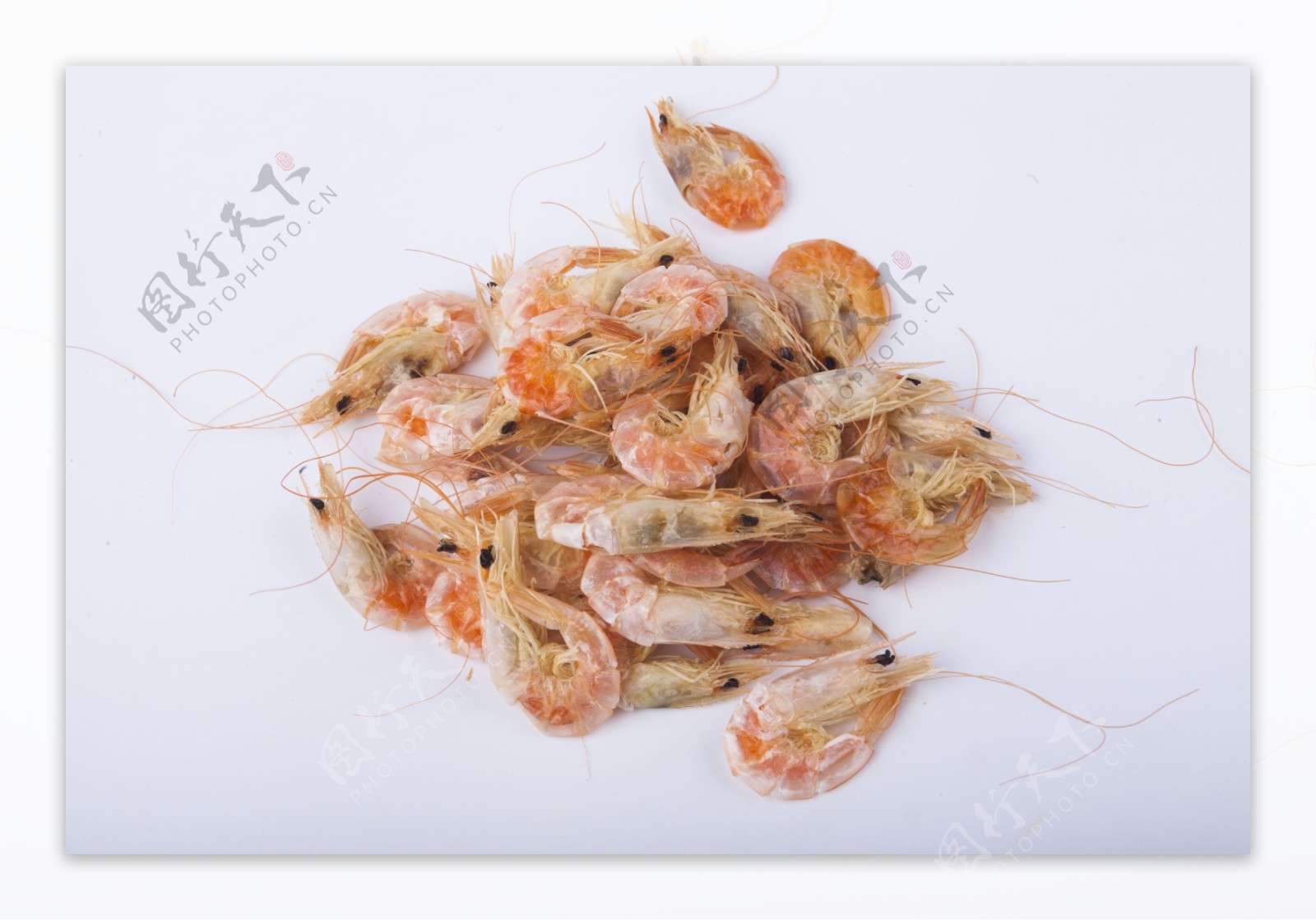 新鲜河虾实物图摄影图1