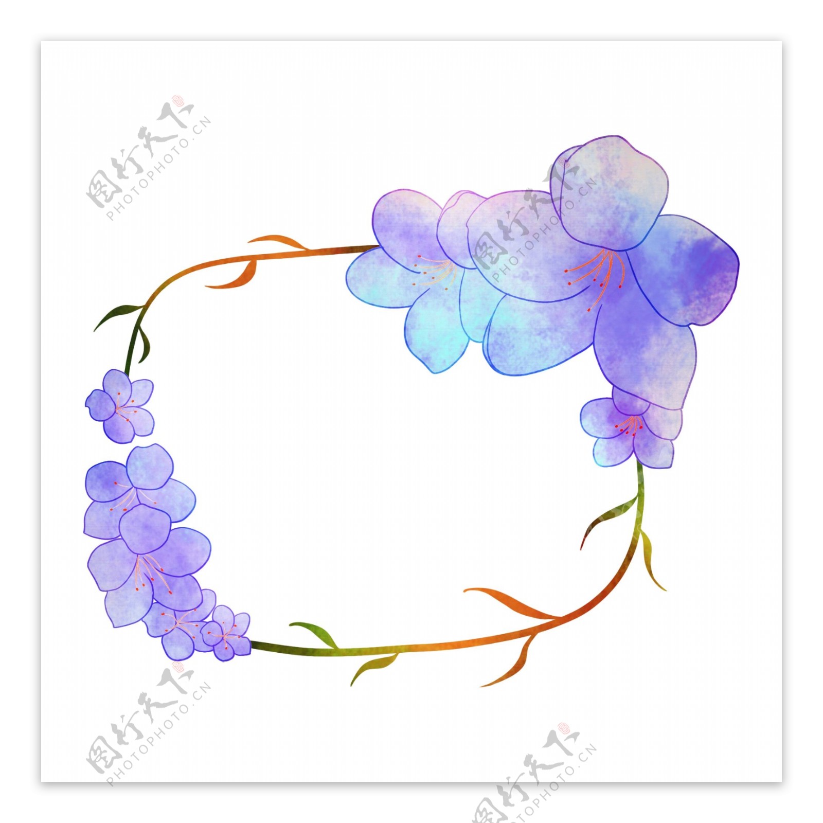 紫色花朵边框插画