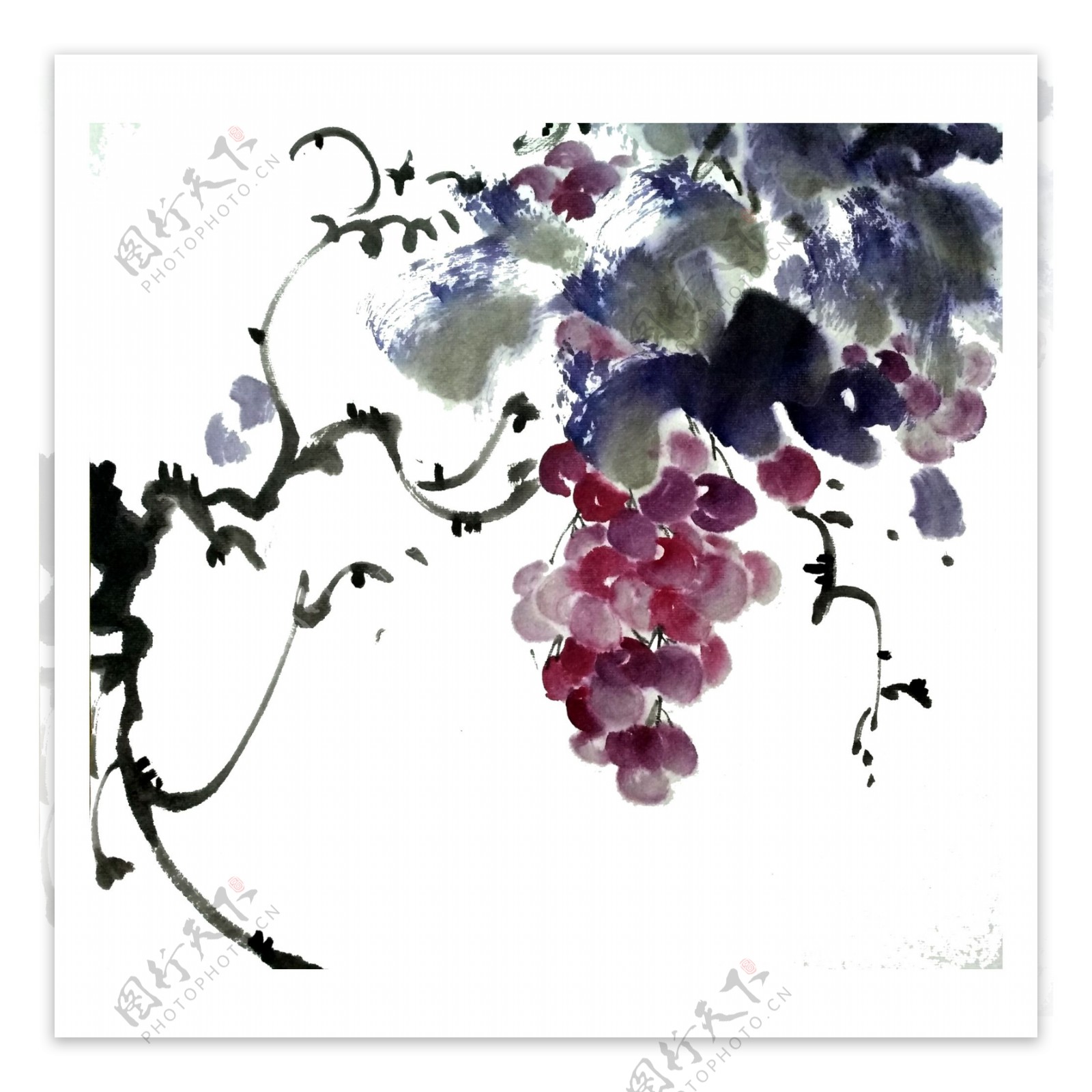 葡萄提子紫色水晶水果国画水墨PNG