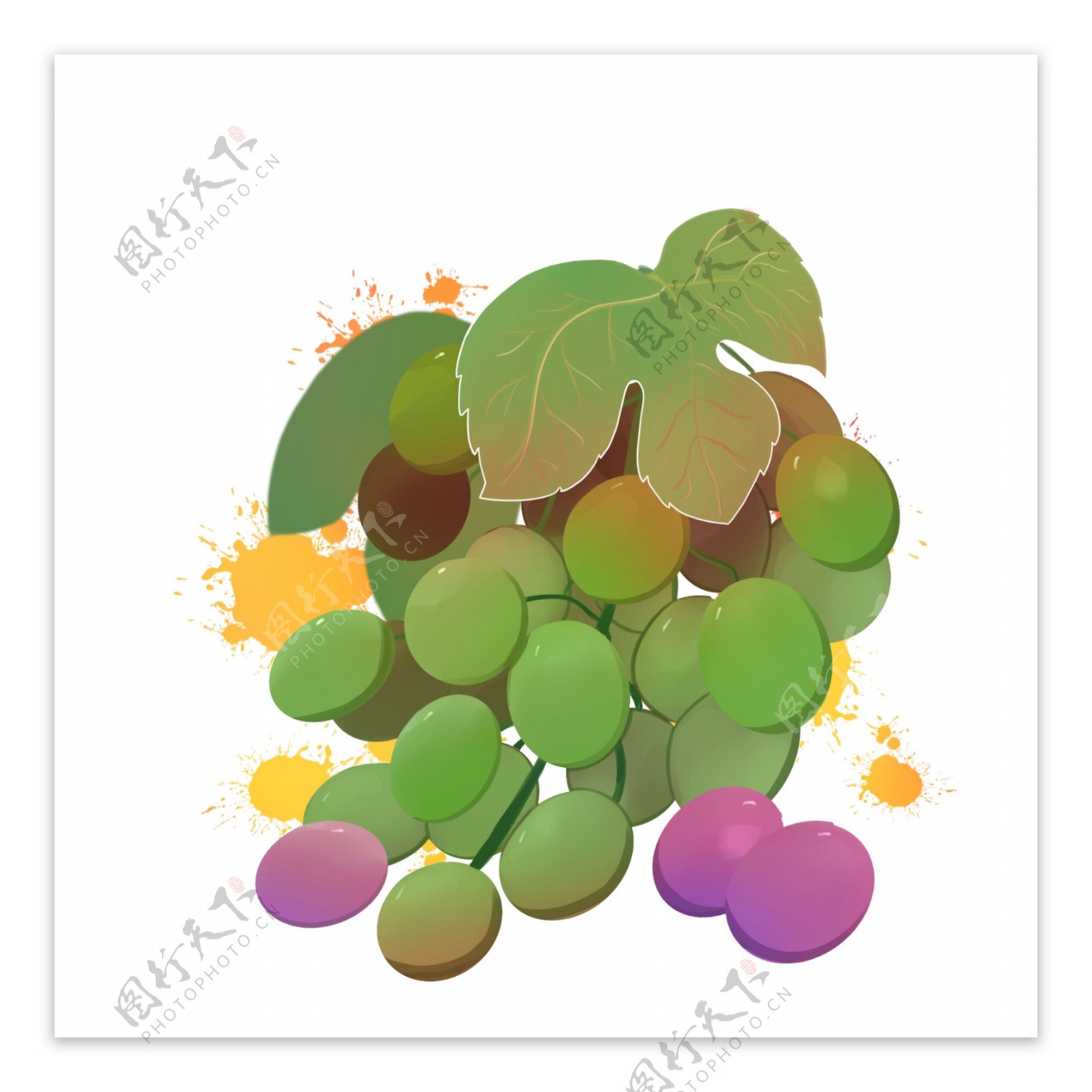 葡萄水果绿色提子PNG绿紫