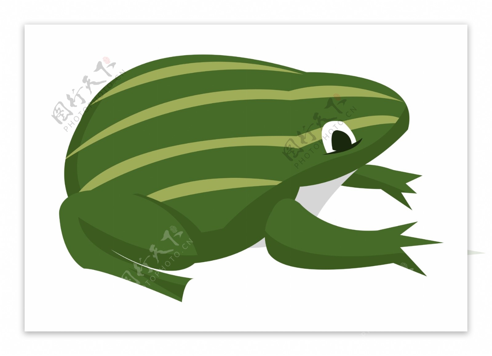 绿色条纹青蛙卡通
