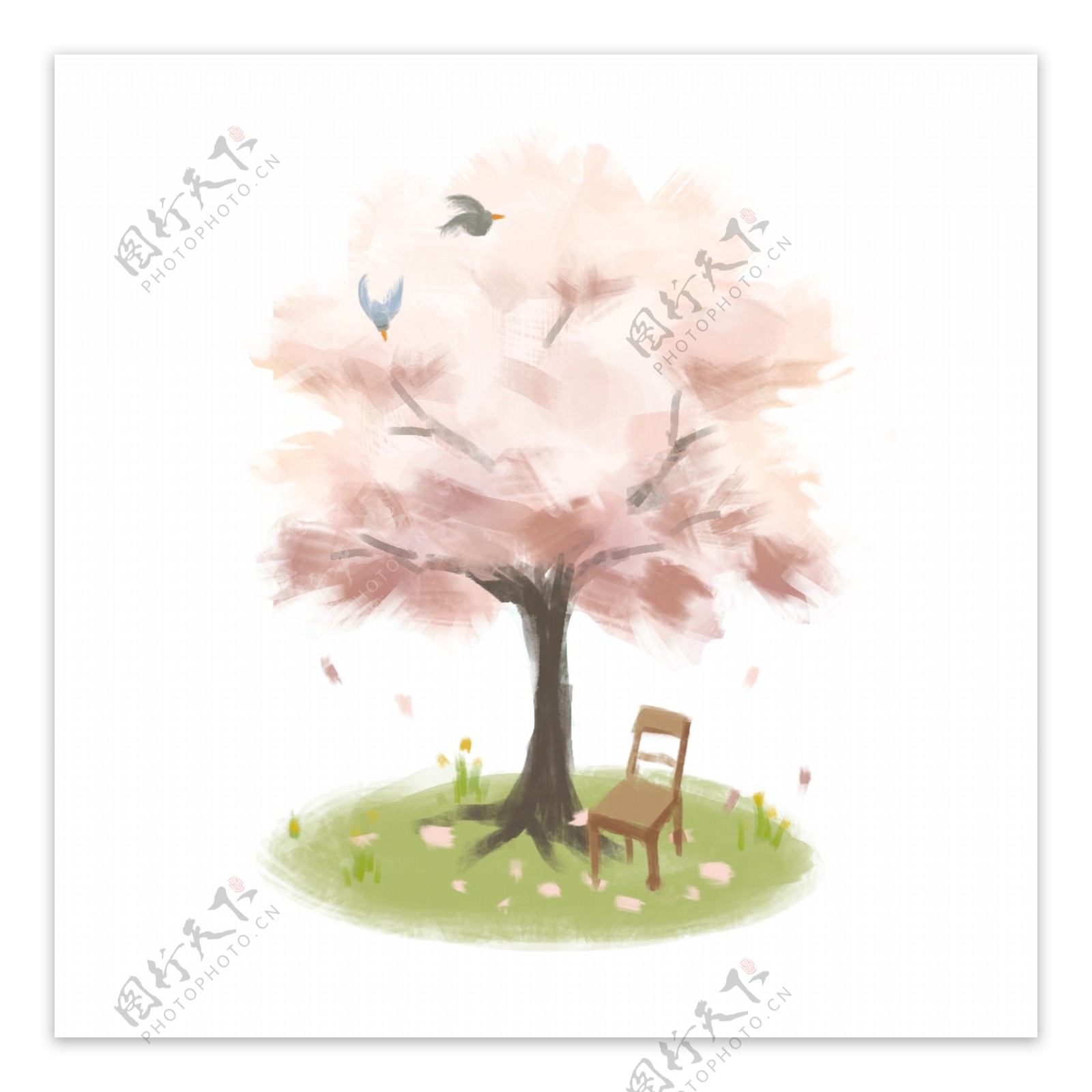 手绘唯美春天樱花树下草地上木椅子鸟语花香插画