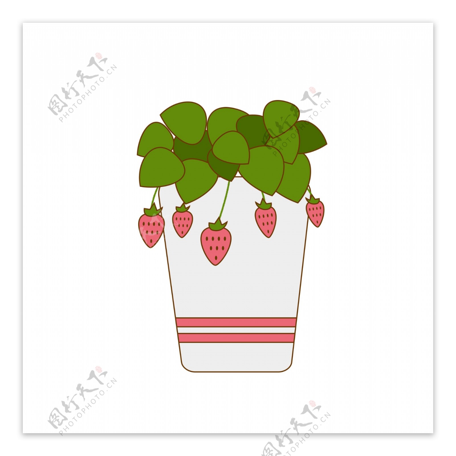植物盆栽草莓手绘卡通扁平
