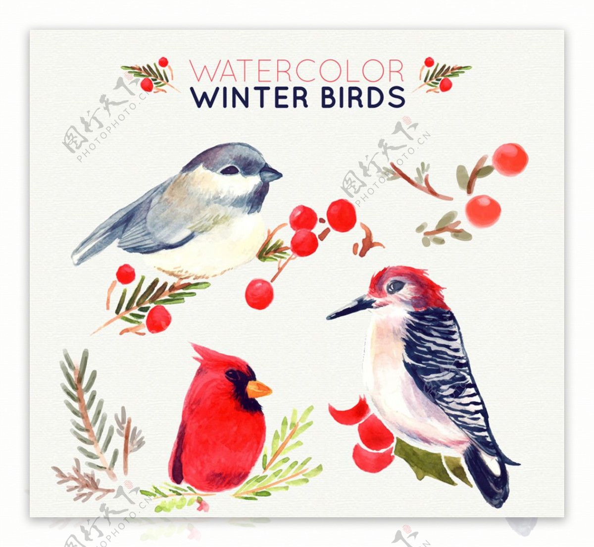 3款水彩绘冬季小鸟