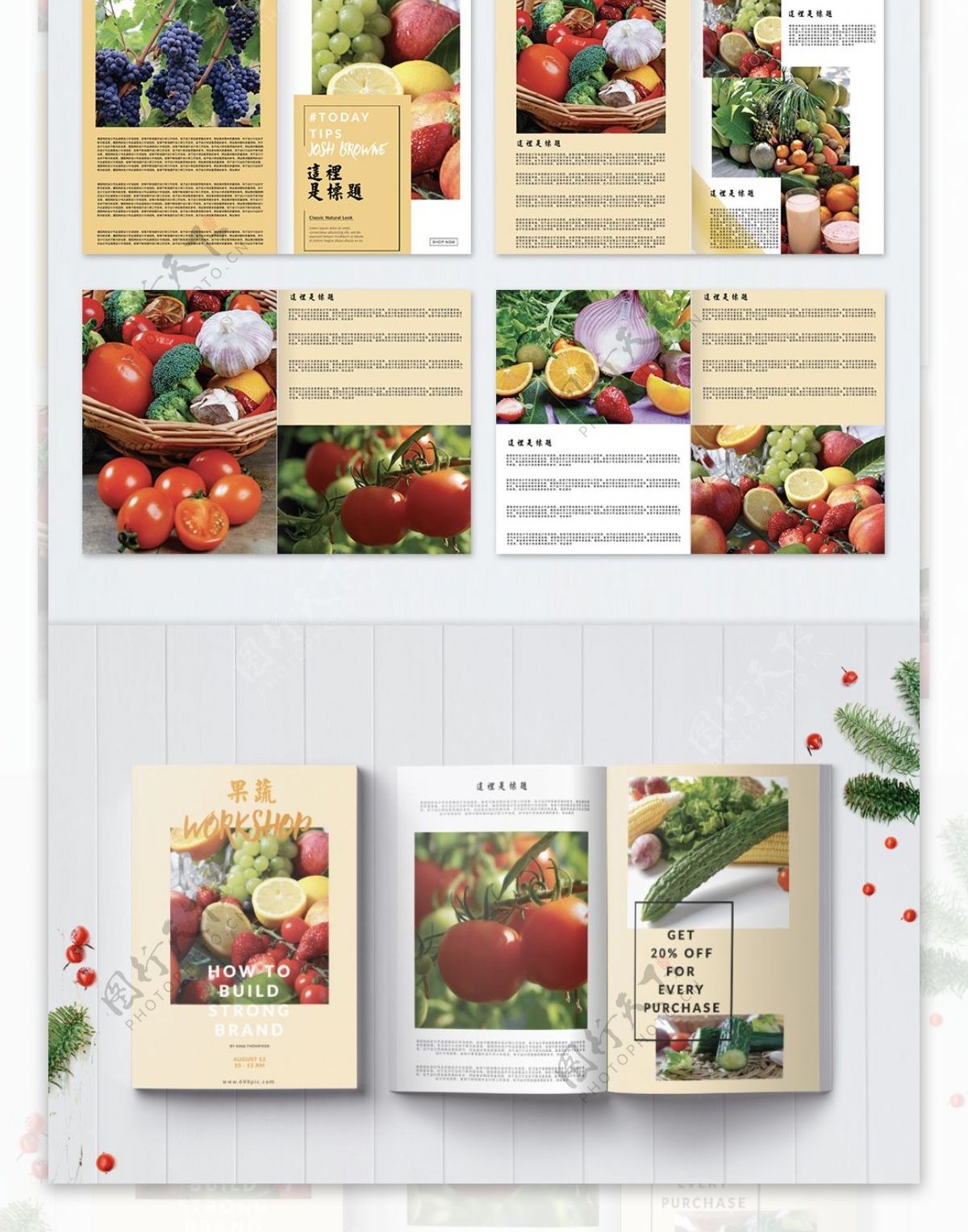 蔬菜果蔬食品画册整套
