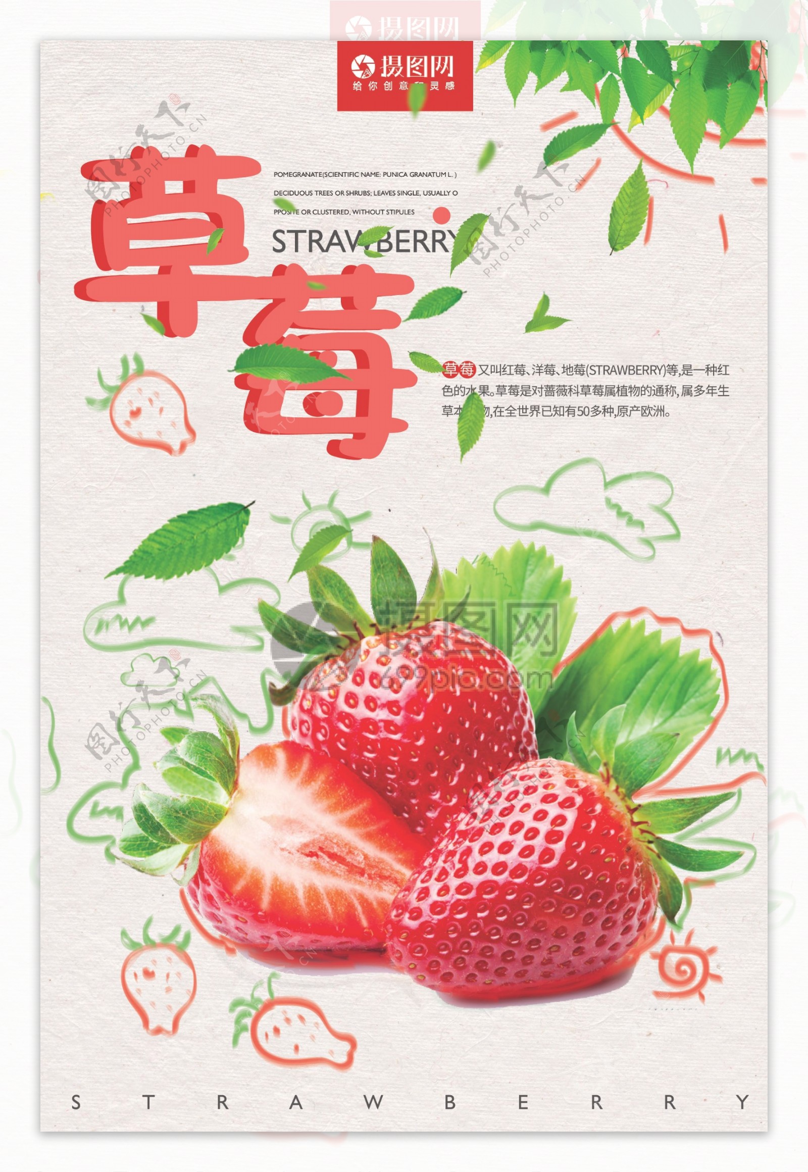新鲜红色草莓海报