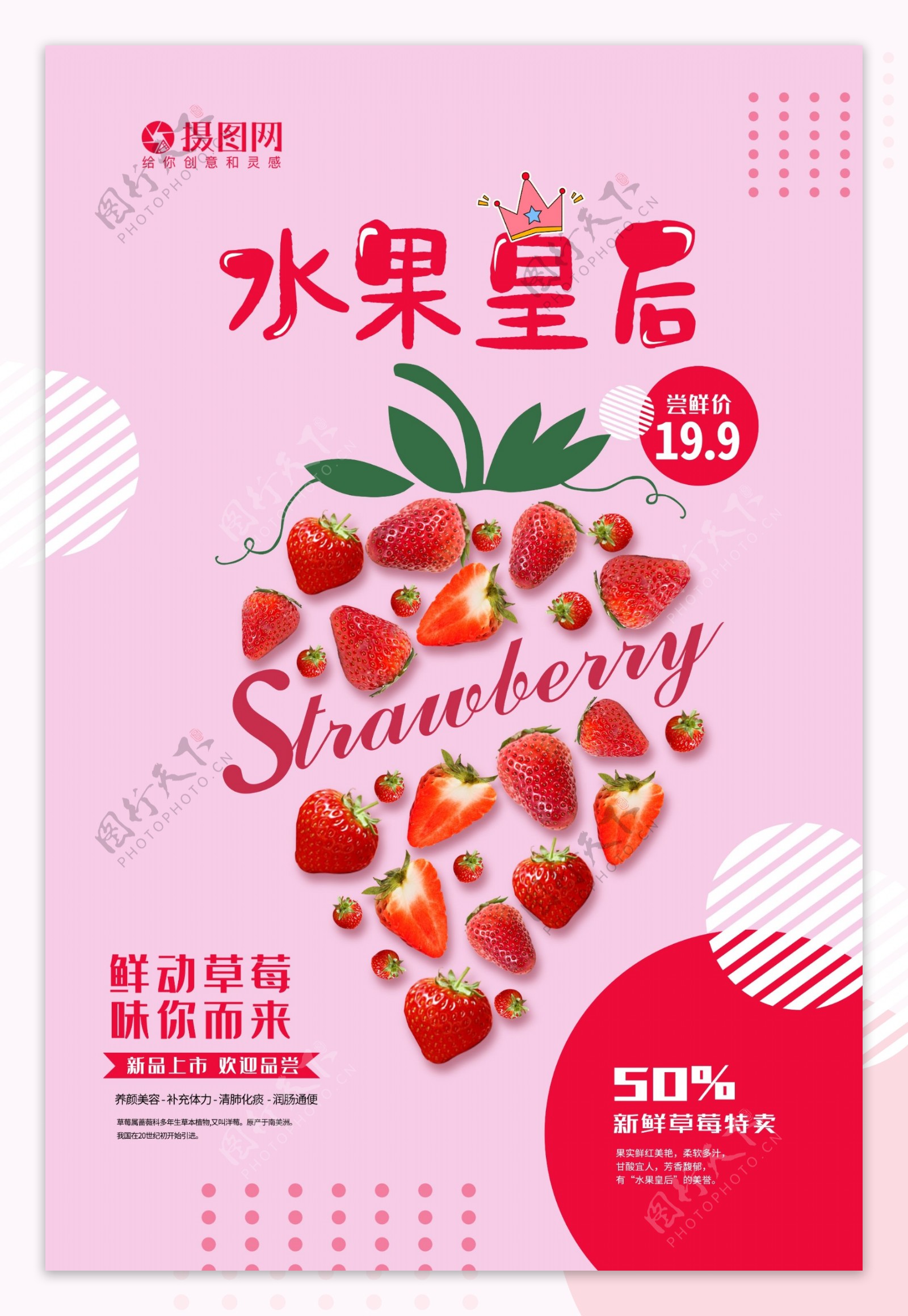 卡通水果系列海报水果皇后草莓
