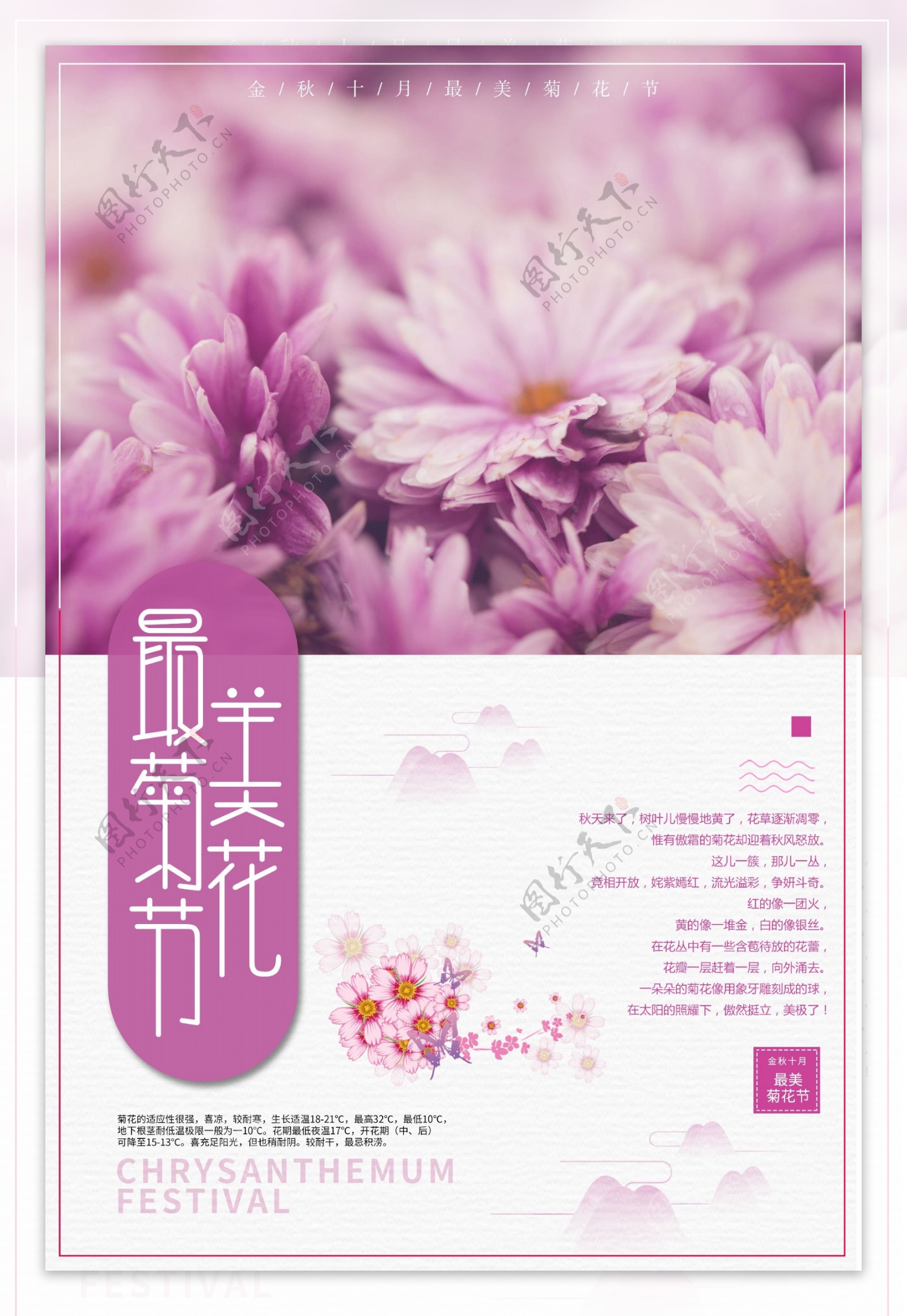 赏菊花节海报