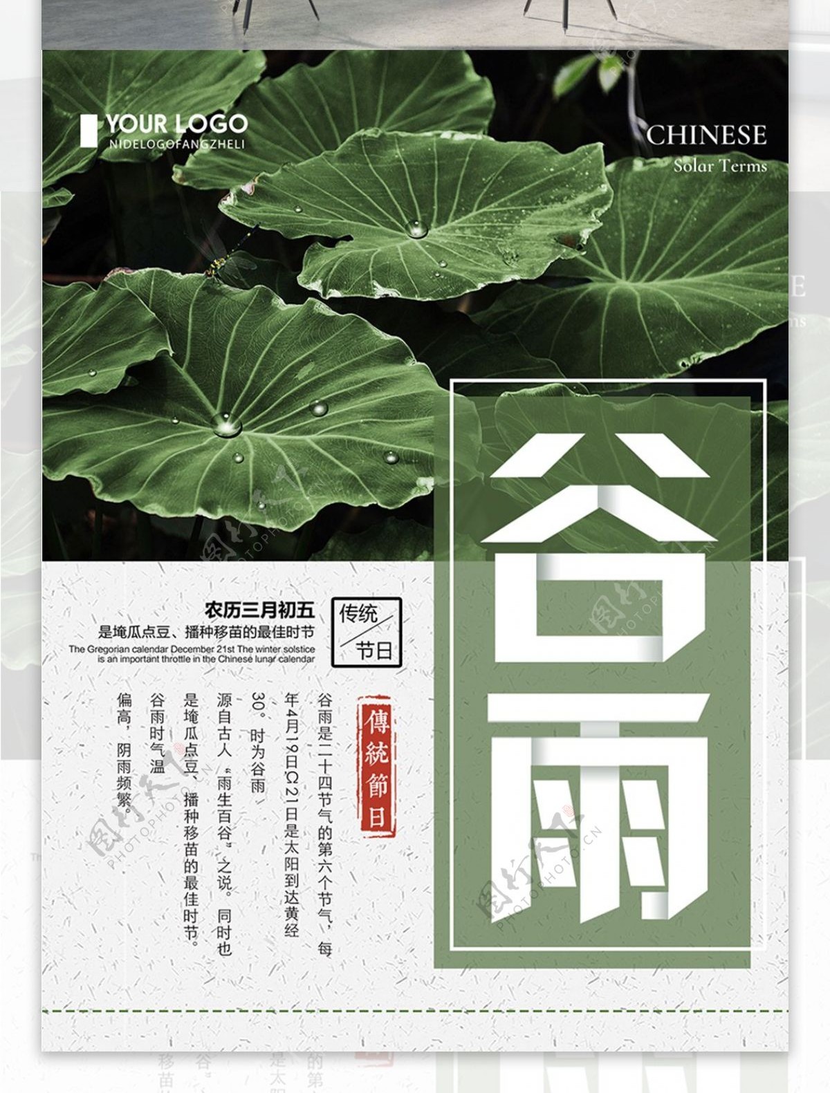 清新简约传统二十四节气谷雨宣传海报
