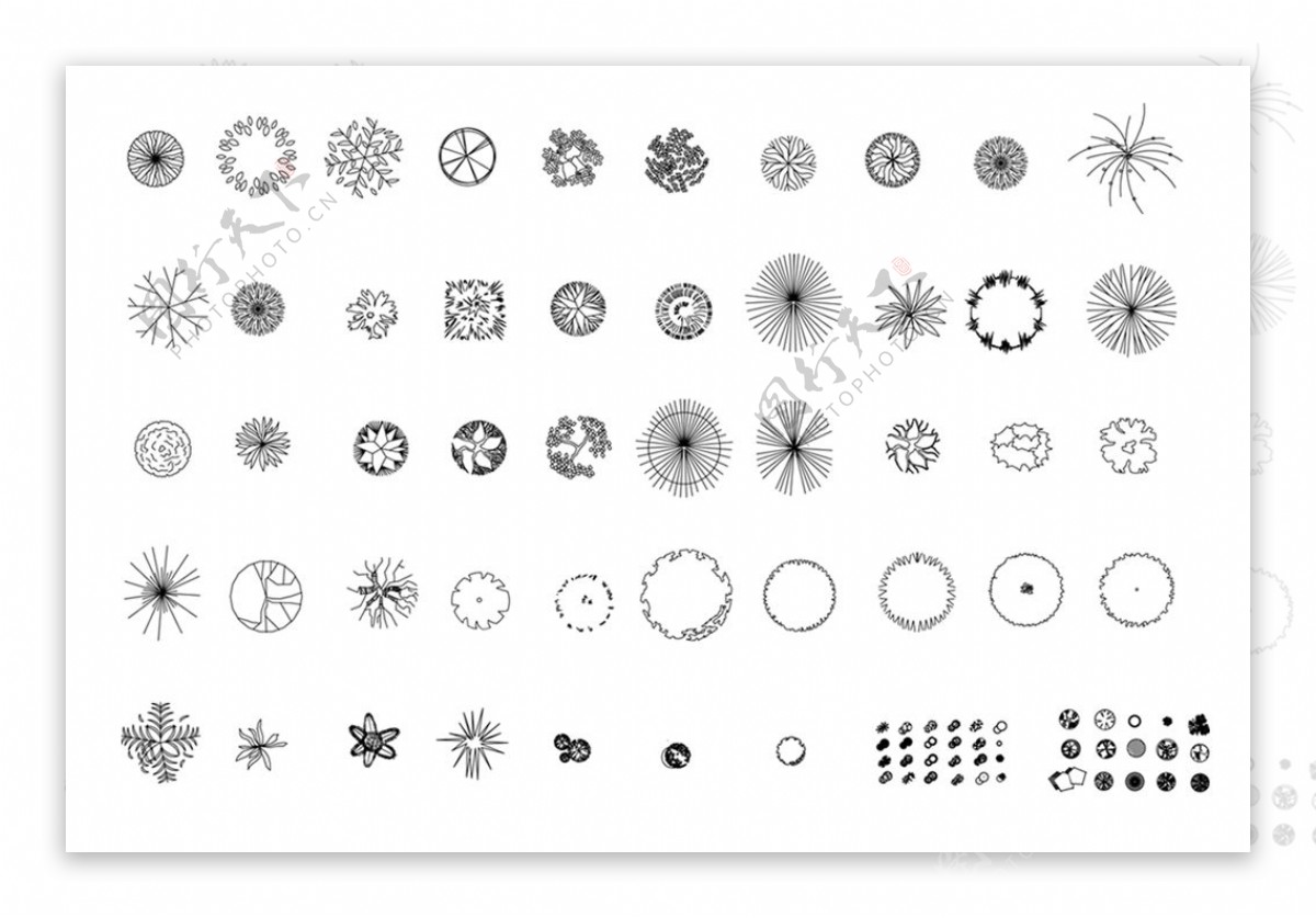 CAD树木平面图库