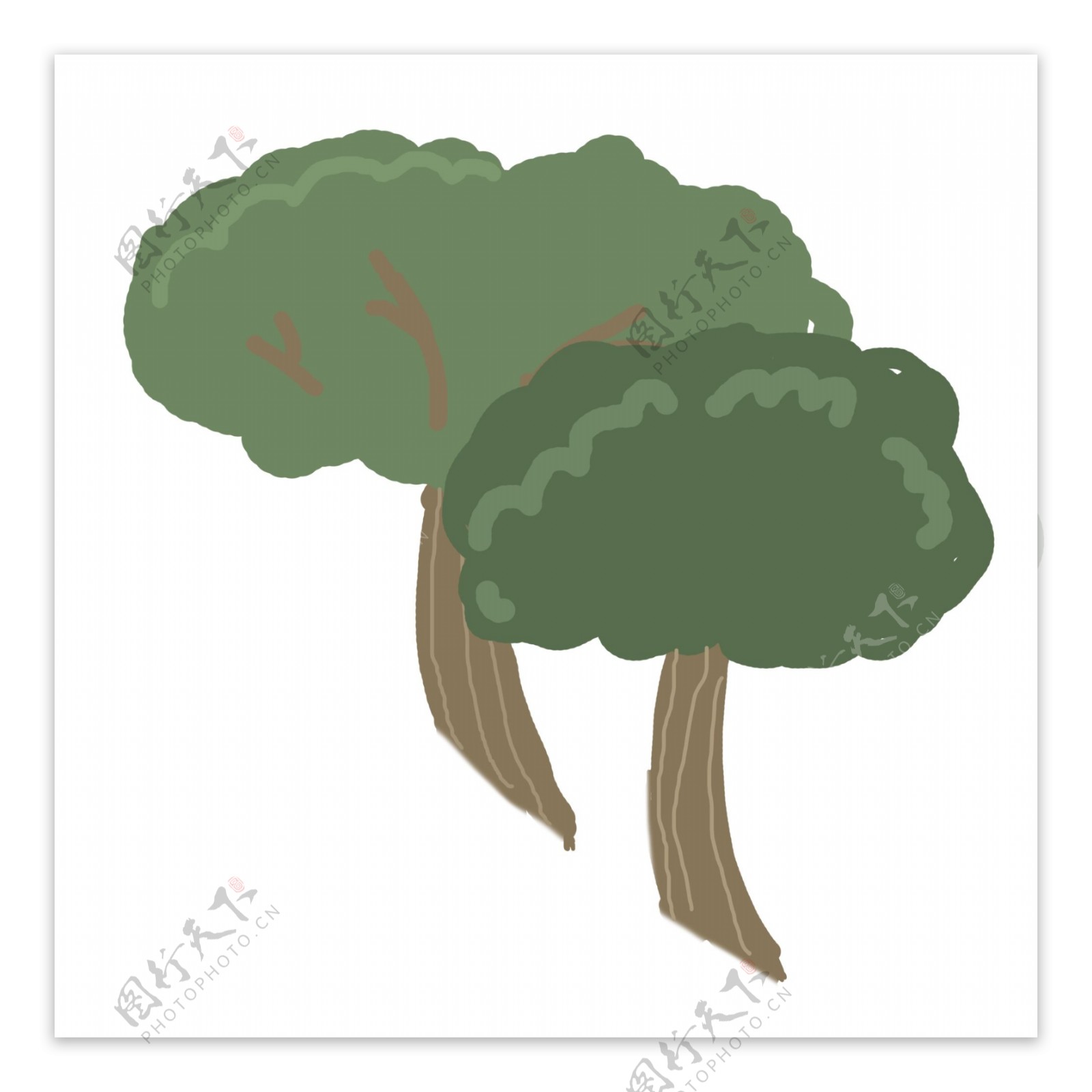 简约植物树木插画