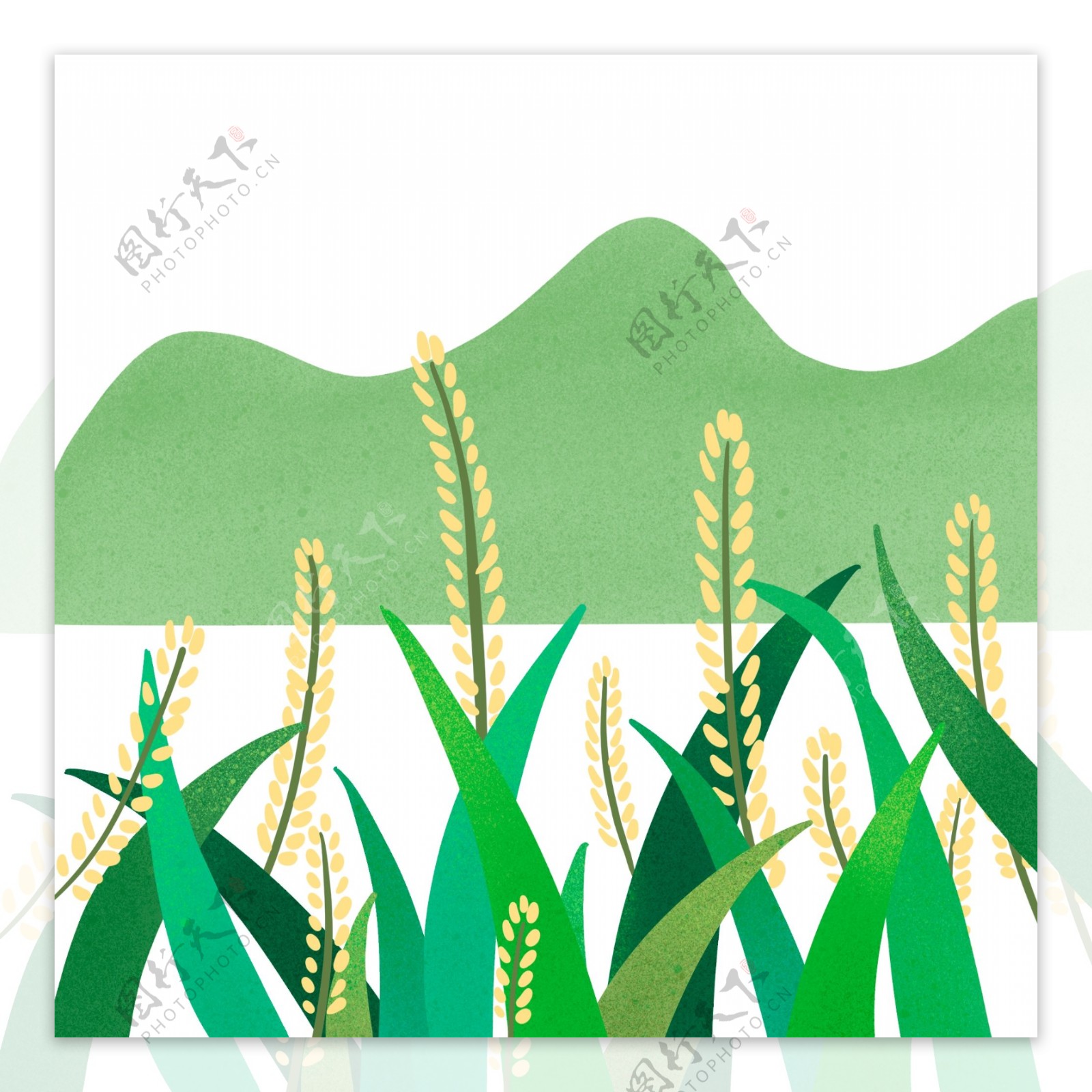 手绘绿色小满麦穗稻谷元素