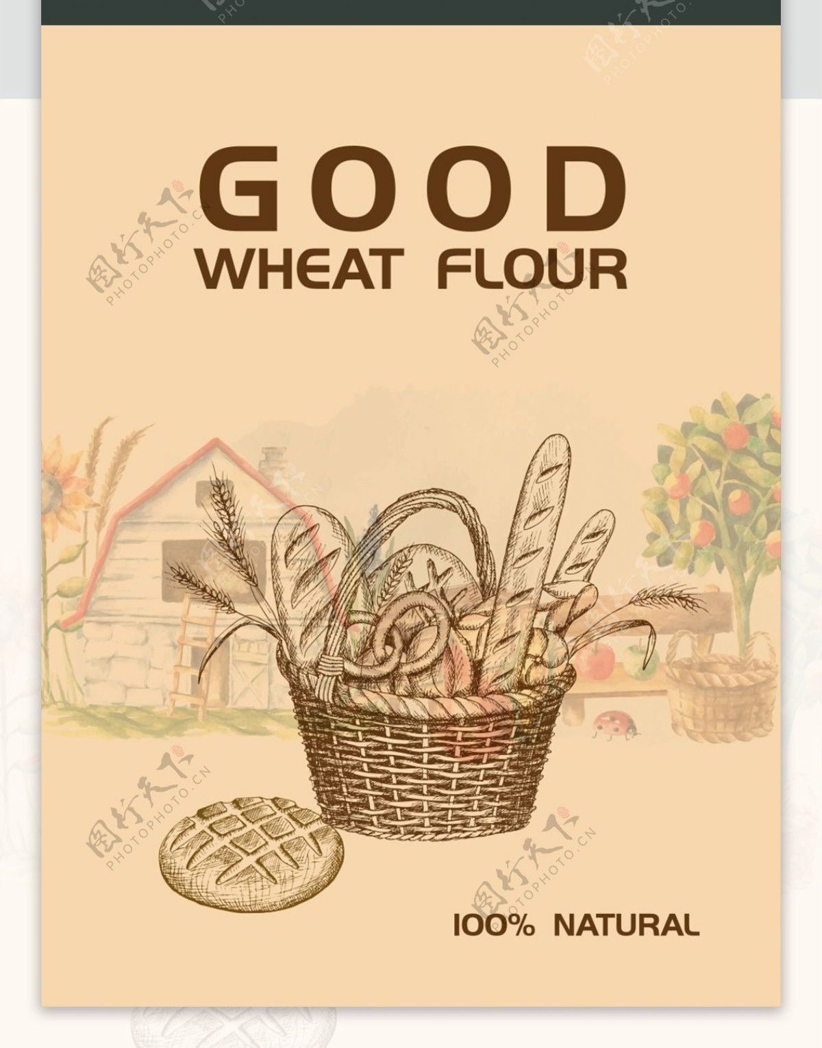 原创食品小麦粉包装袋
